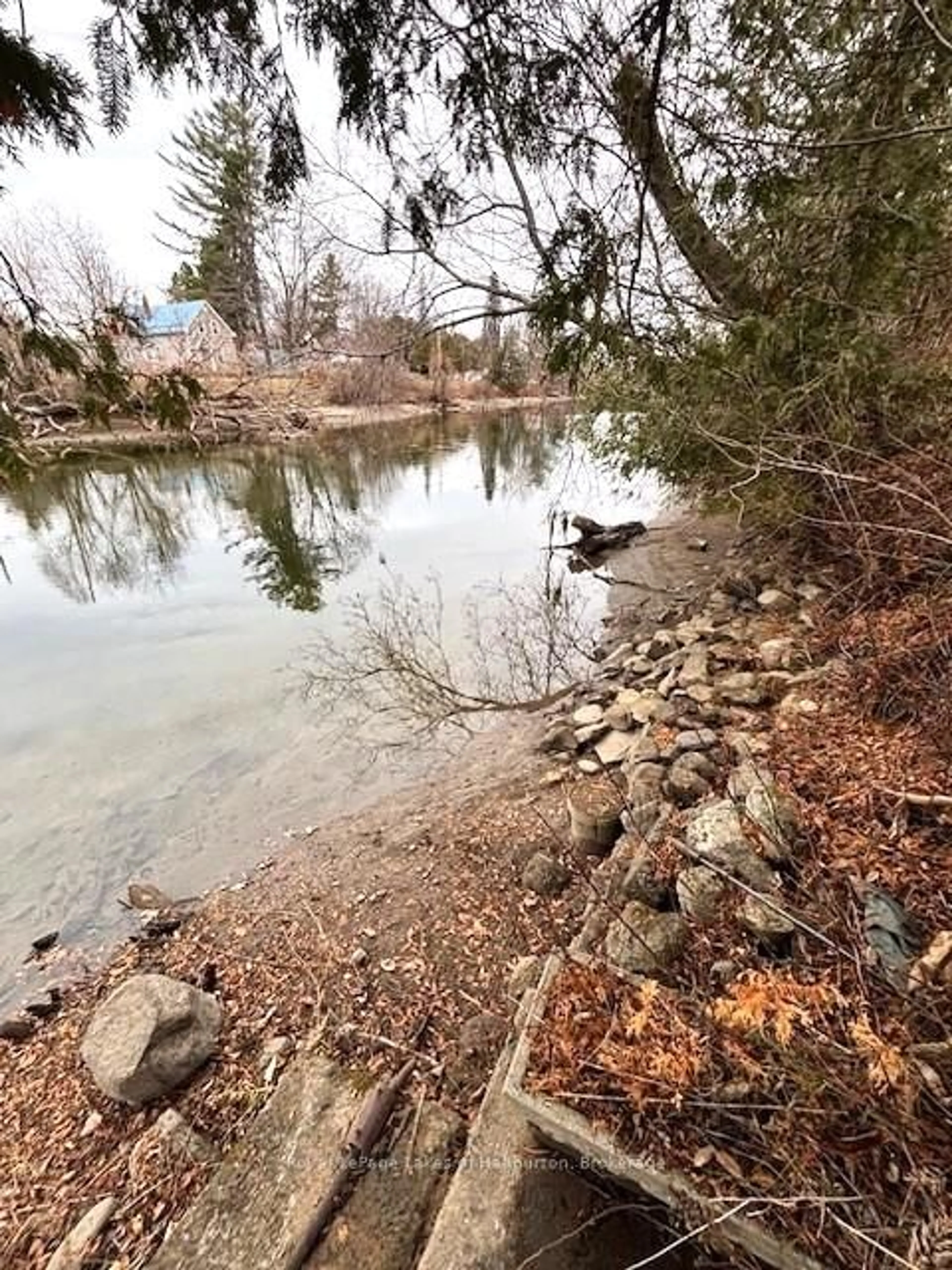 Blurry image for 3 Anson St, Minden Hills Ontario K0M 2K0