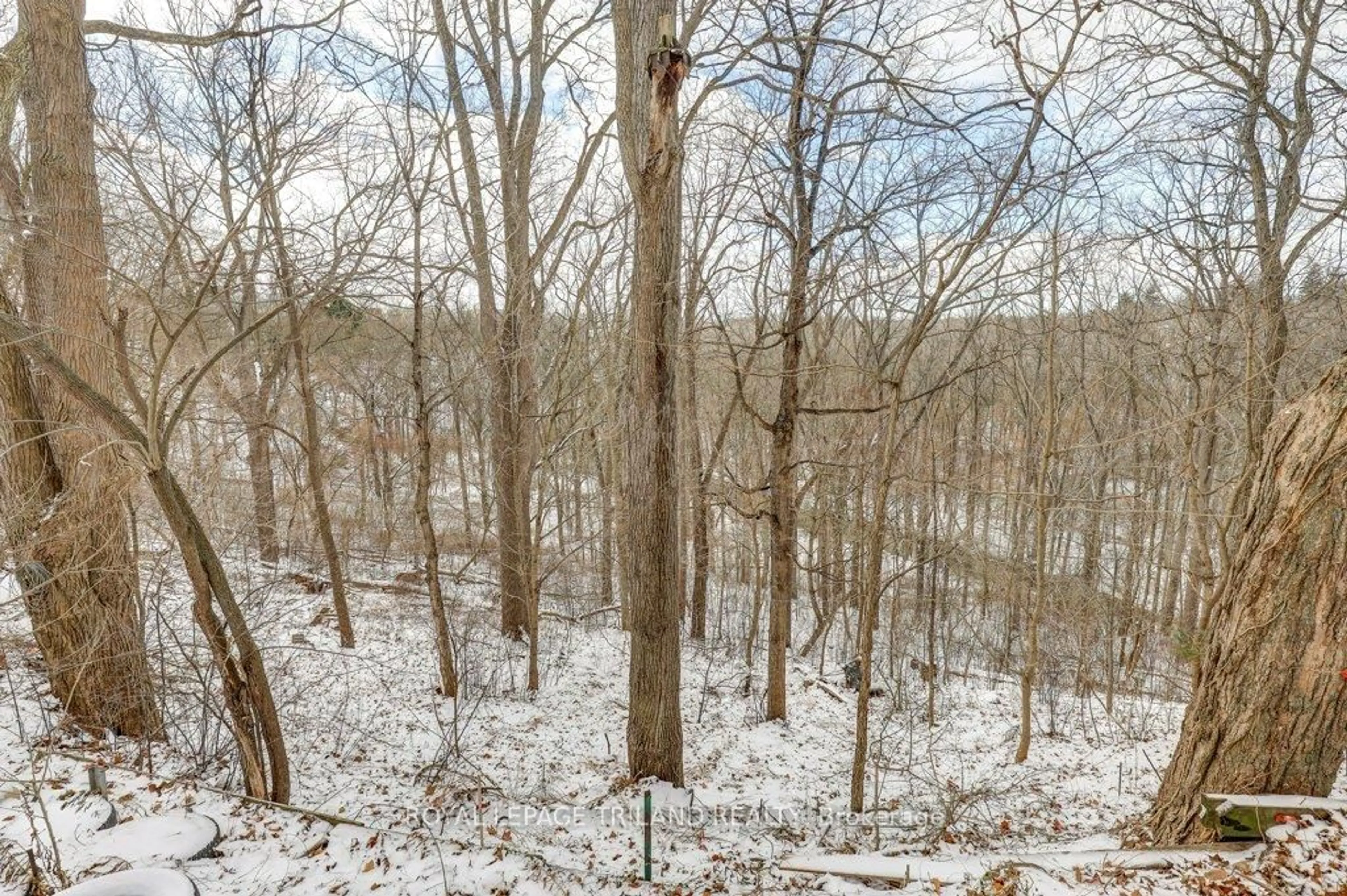 A pic from outside/outdoor area/front of a property/back of a property/a pic from drone, forest/trees view for 2 Elysian St, St. Thomas Ontario N5P 4E7