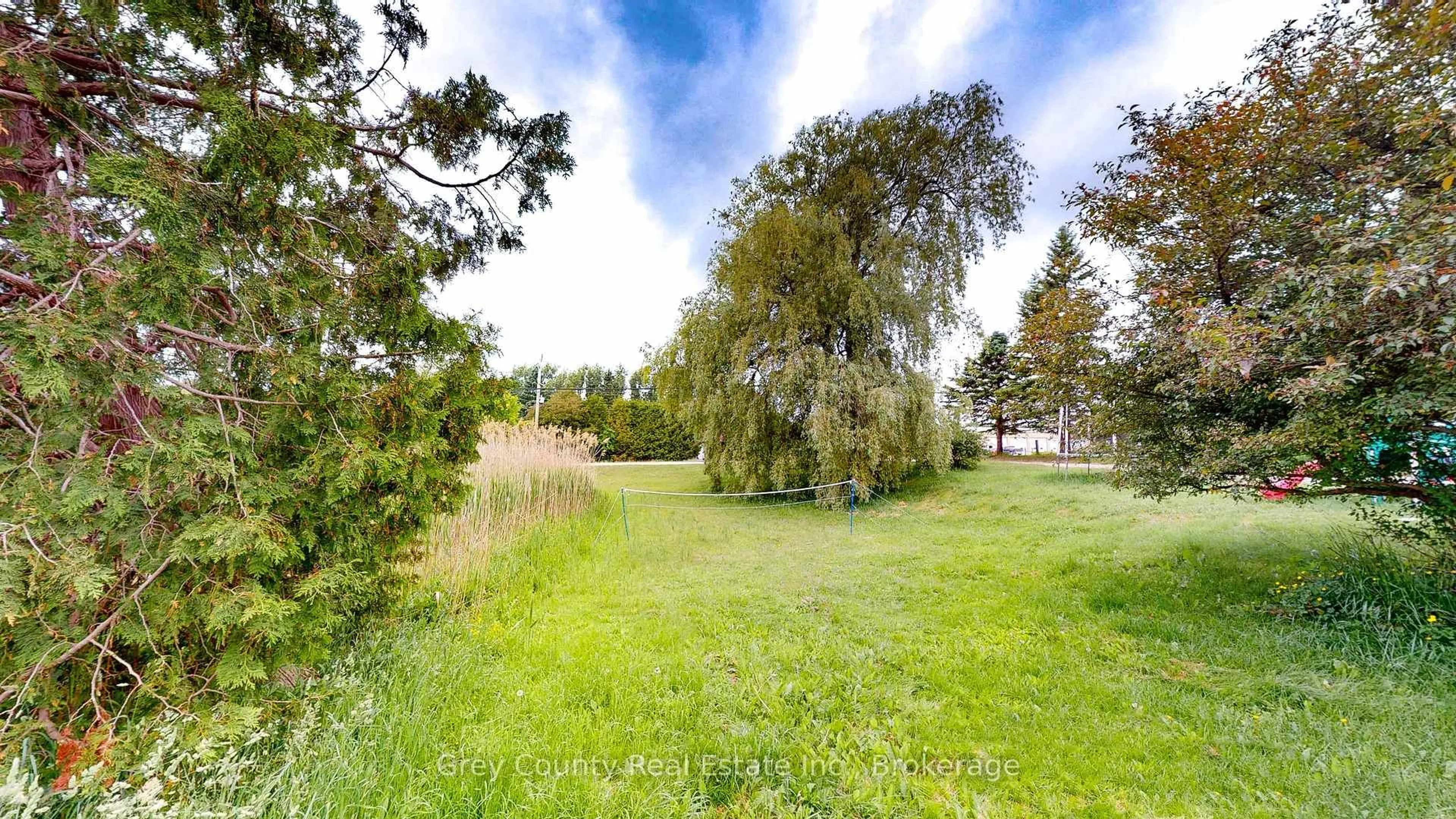 A pic from outside/outdoor area/front of a property/back of a property/a pic from drone, forest/trees view for 117 Collingwood St, Grey Highlands Ontario N0C 1E0