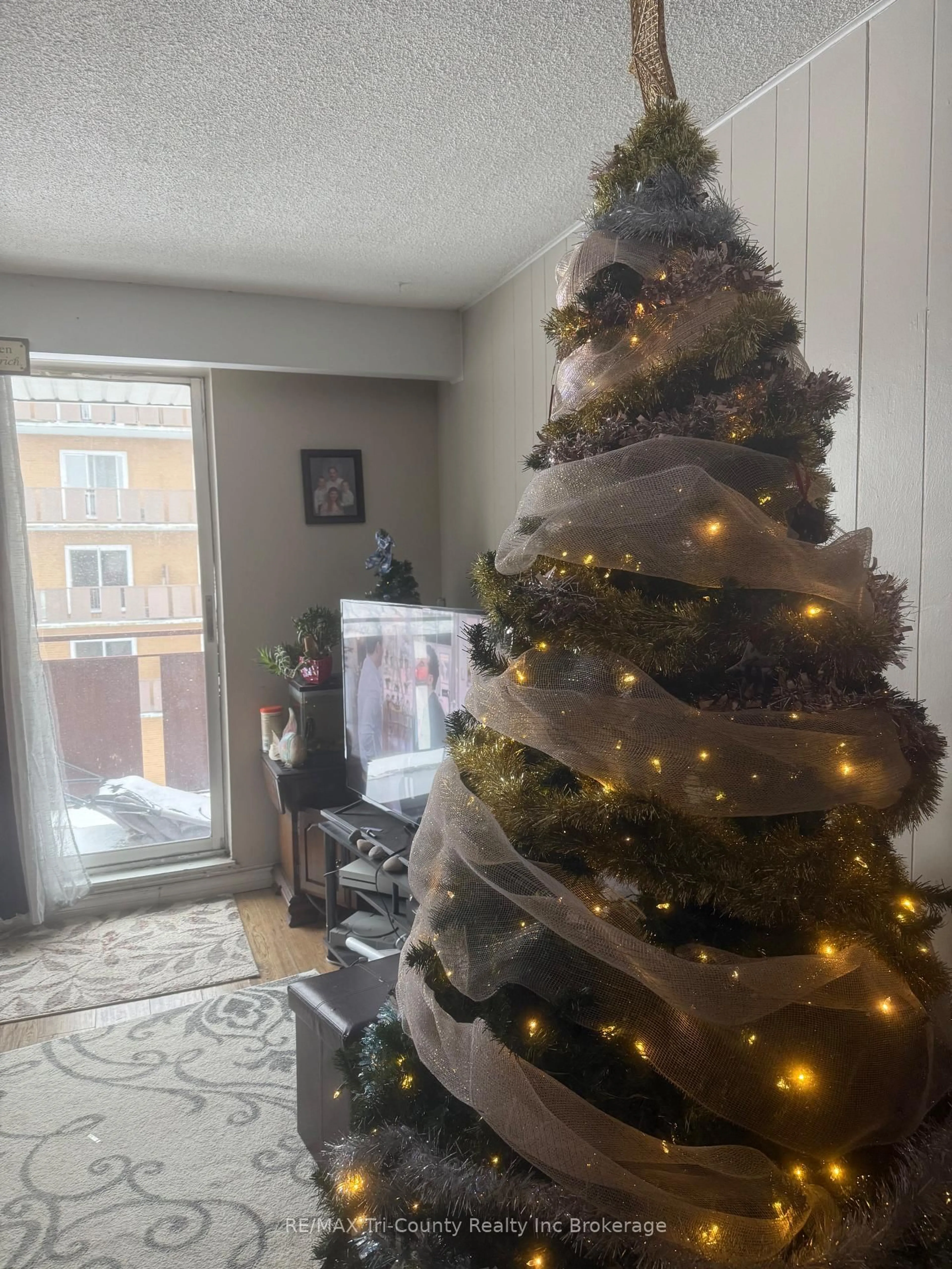 A pic of a room for 191 Lisgar Ave #306, Tillsonburg Ontario N4G 3L5