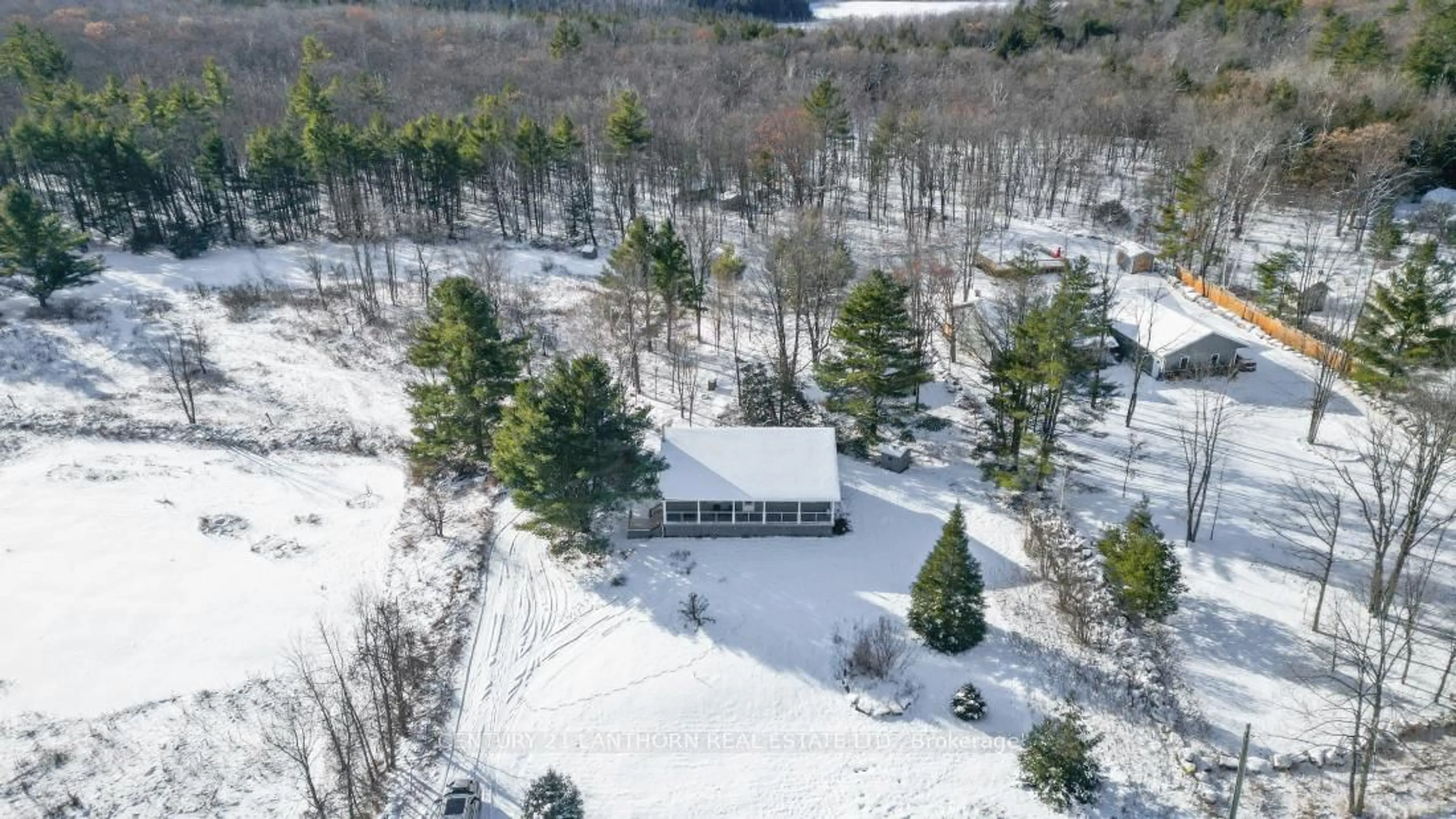 A pic from outside/outdoor area/front of a property/back of a property/a pic from drone, forest/trees view for 337 Jarvis Rd, Madoc Ontario K0K 2K0