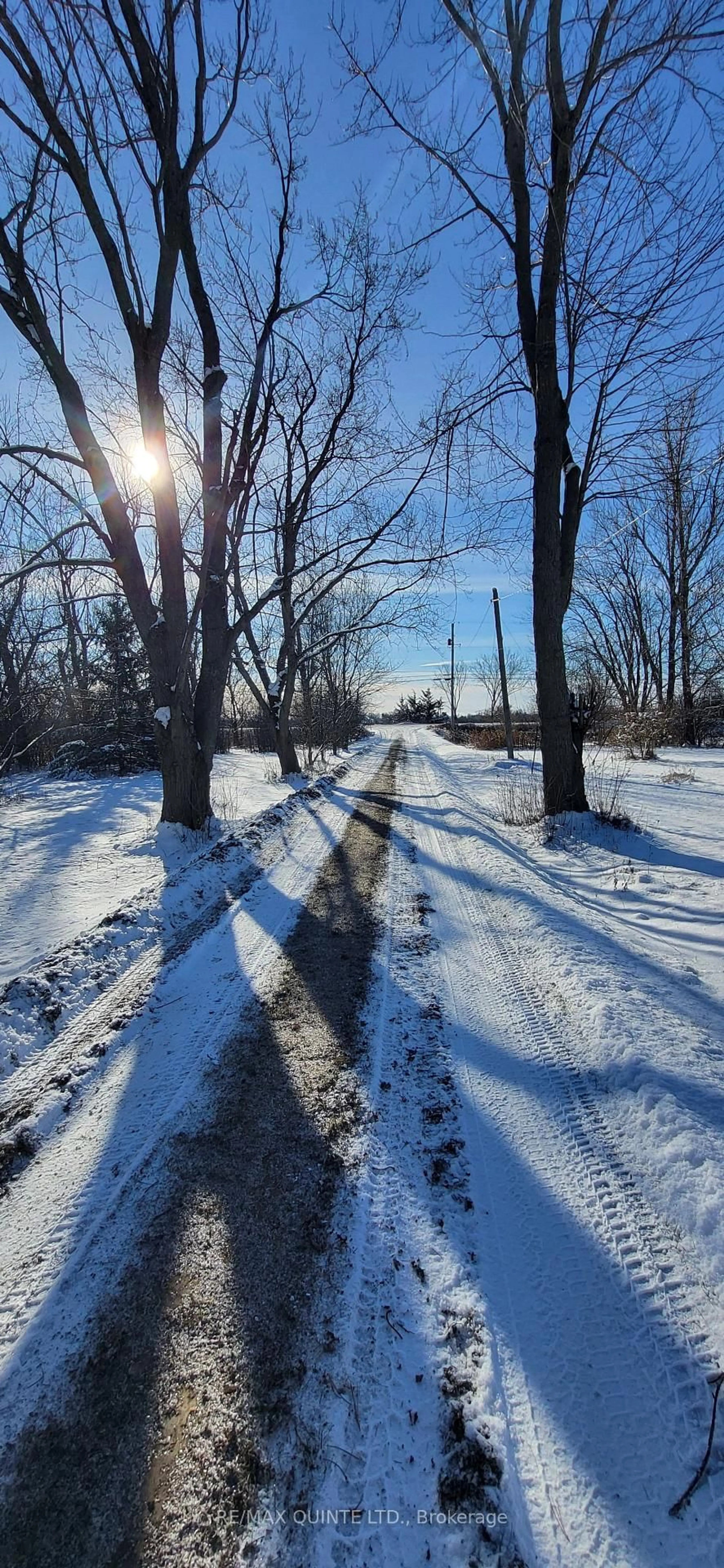 Blurry image for 1856 County Road 1 Rd, Prince Edward County Ontario K0K 1G0