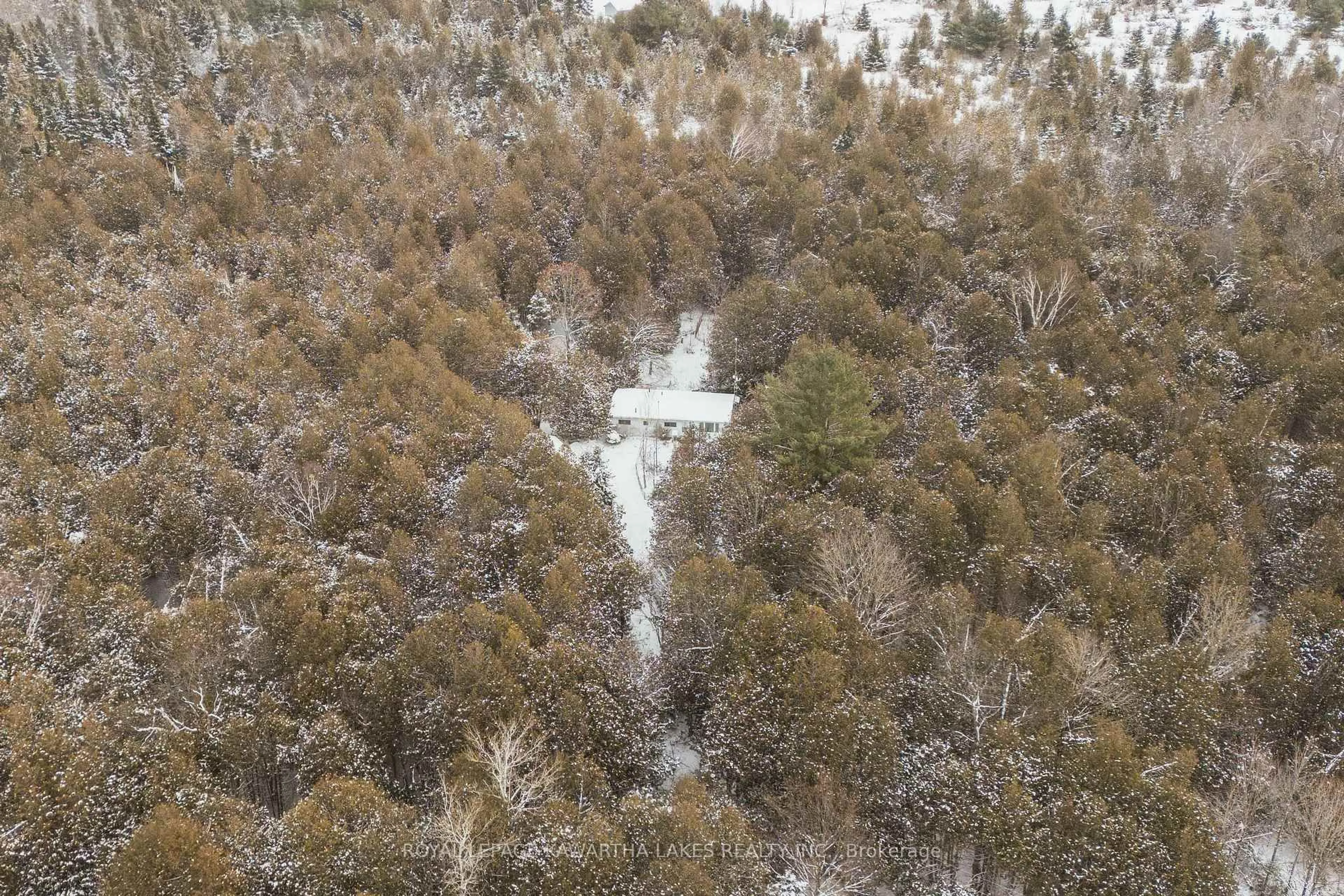 A pic from outside/outdoor area/front of a property/back of a property/a pic from drone, forest/trees view for 38 Fell Station Dr, Kawartha Lakes Ontario K0M 1N0