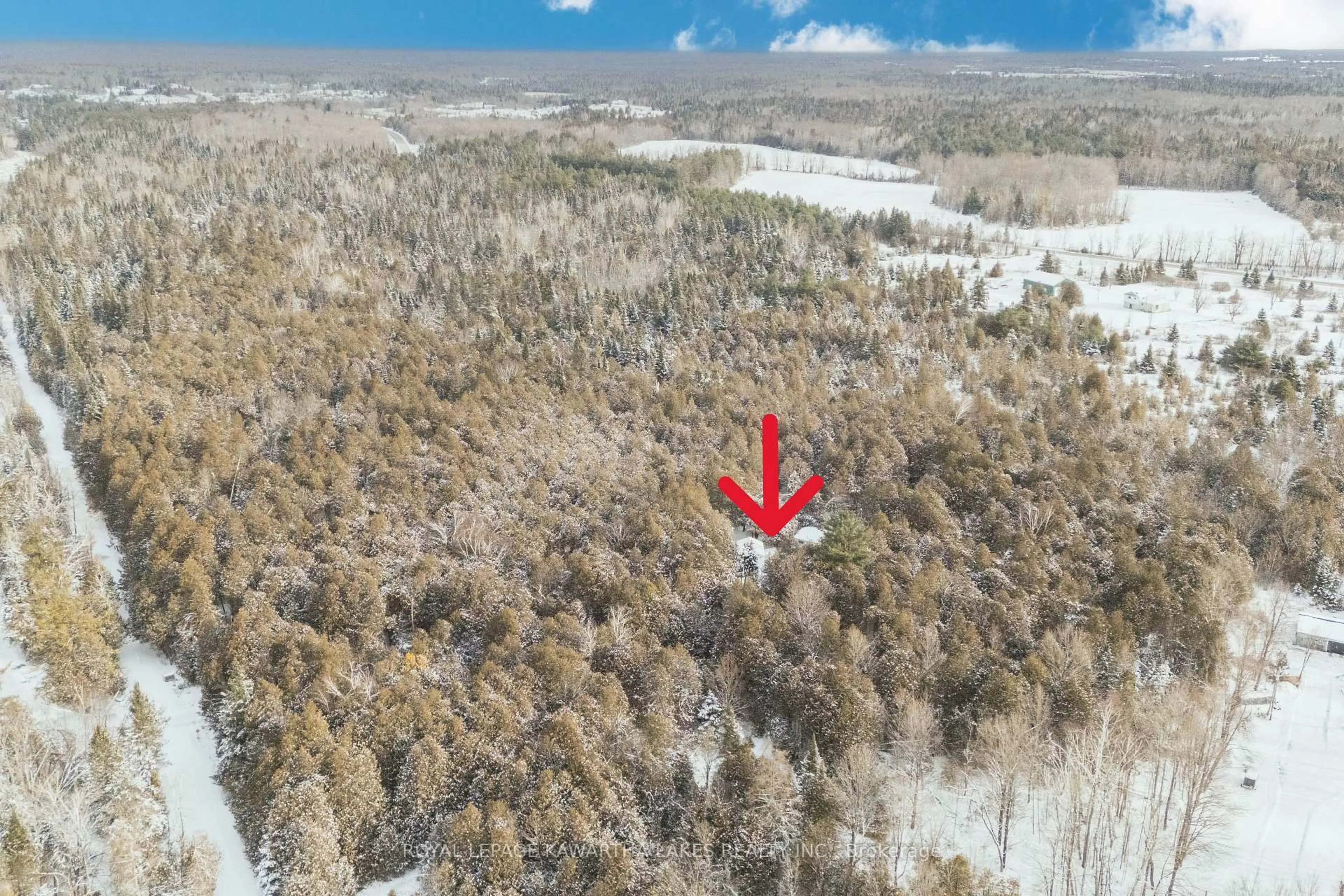 A pic from outside/outdoor area/front of a property/back of a property/a pic from drone, forest/trees view for 38 Fell Station Dr, Kawartha Lakes Ontario K0M 1N0