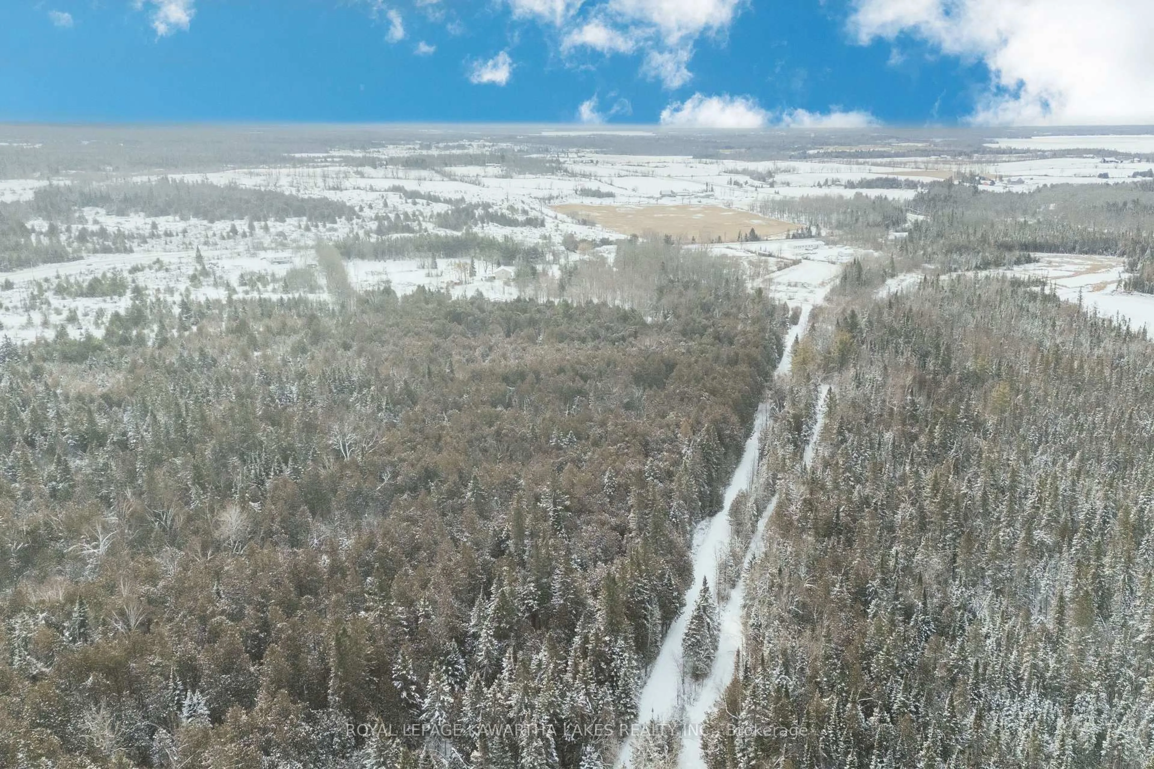 A pic from outside/outdoor area/front of a property/back of a property/a pic from drone, forest/trees view for 38 Fell Station Dr, Kawartha Lakes Ontario K0M 1N0