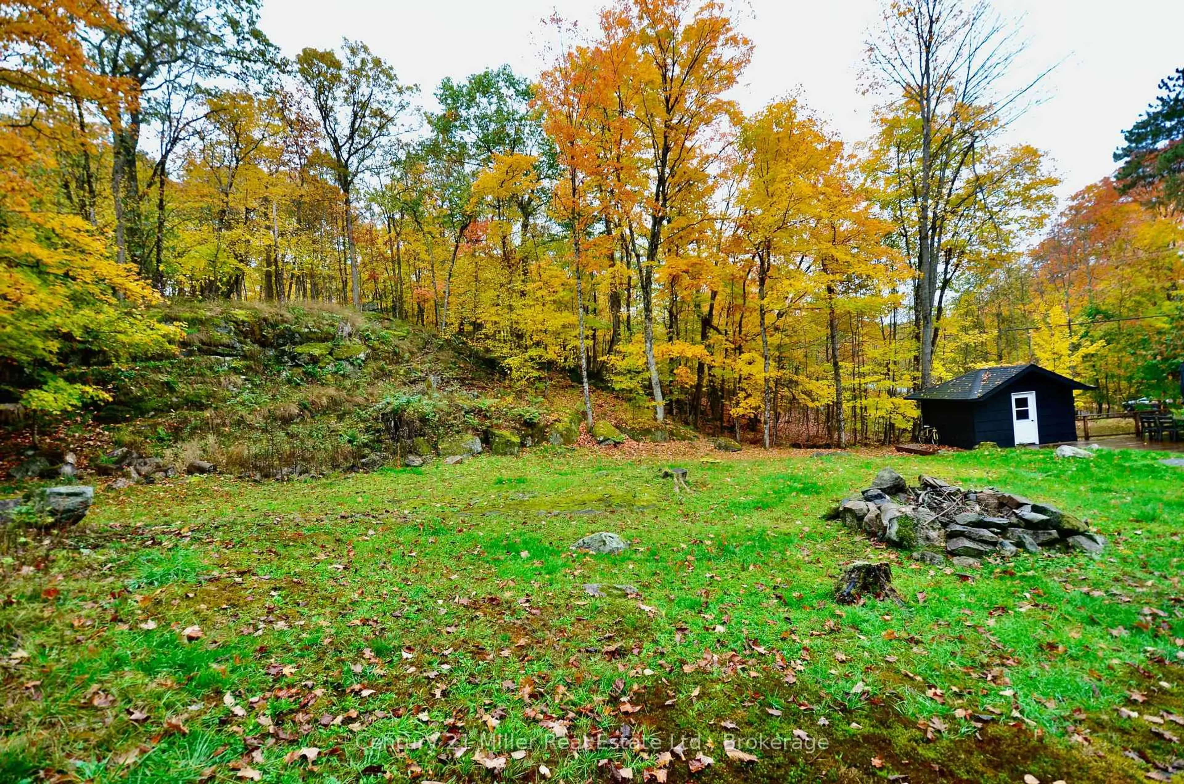 A pic from outside/outdoor area/front of a property/back of a property/a pic from drone, forest/trees view for 1279 Carlingford Rd, Muskoka Lakes Ontario P0B 1J0