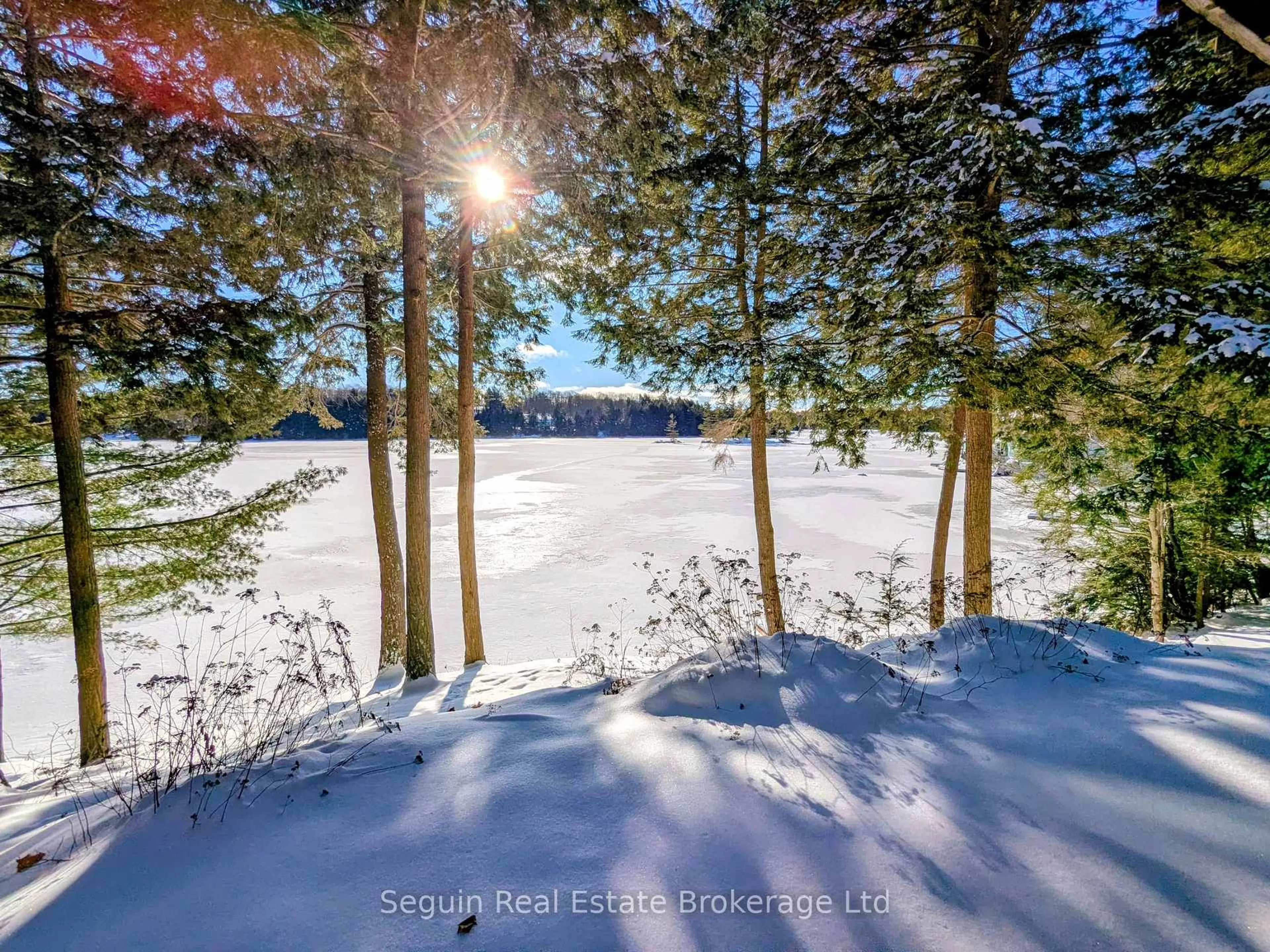 A pic from outside/outdoor area/front of a property/back of a property/a pic from drone, forest/trees view for 24 South Fork Rd, The Archipelago Ontario P2A 0B7