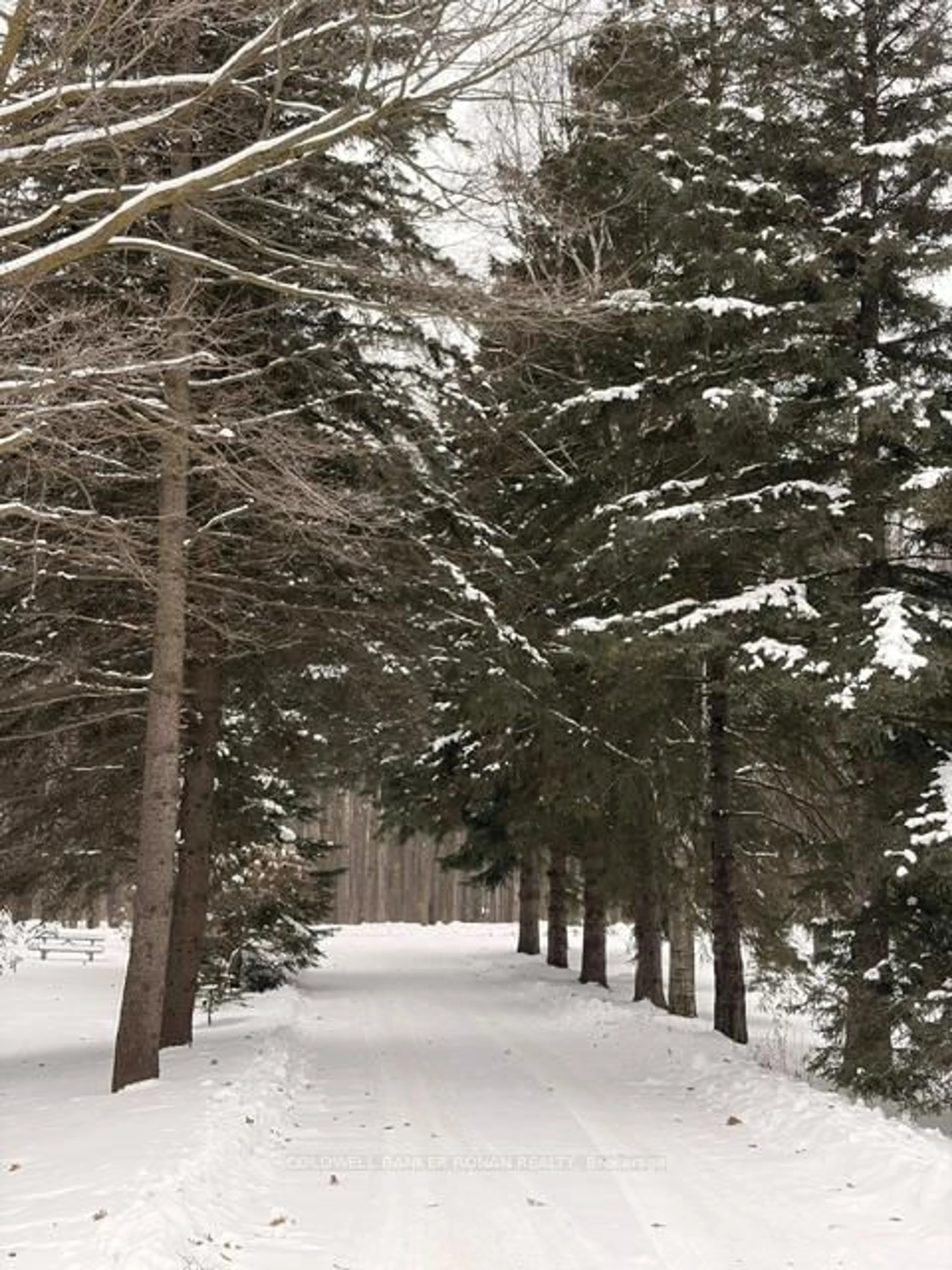 Blurry image for 953026 7th Line, Mono Ontario L9W 6E6