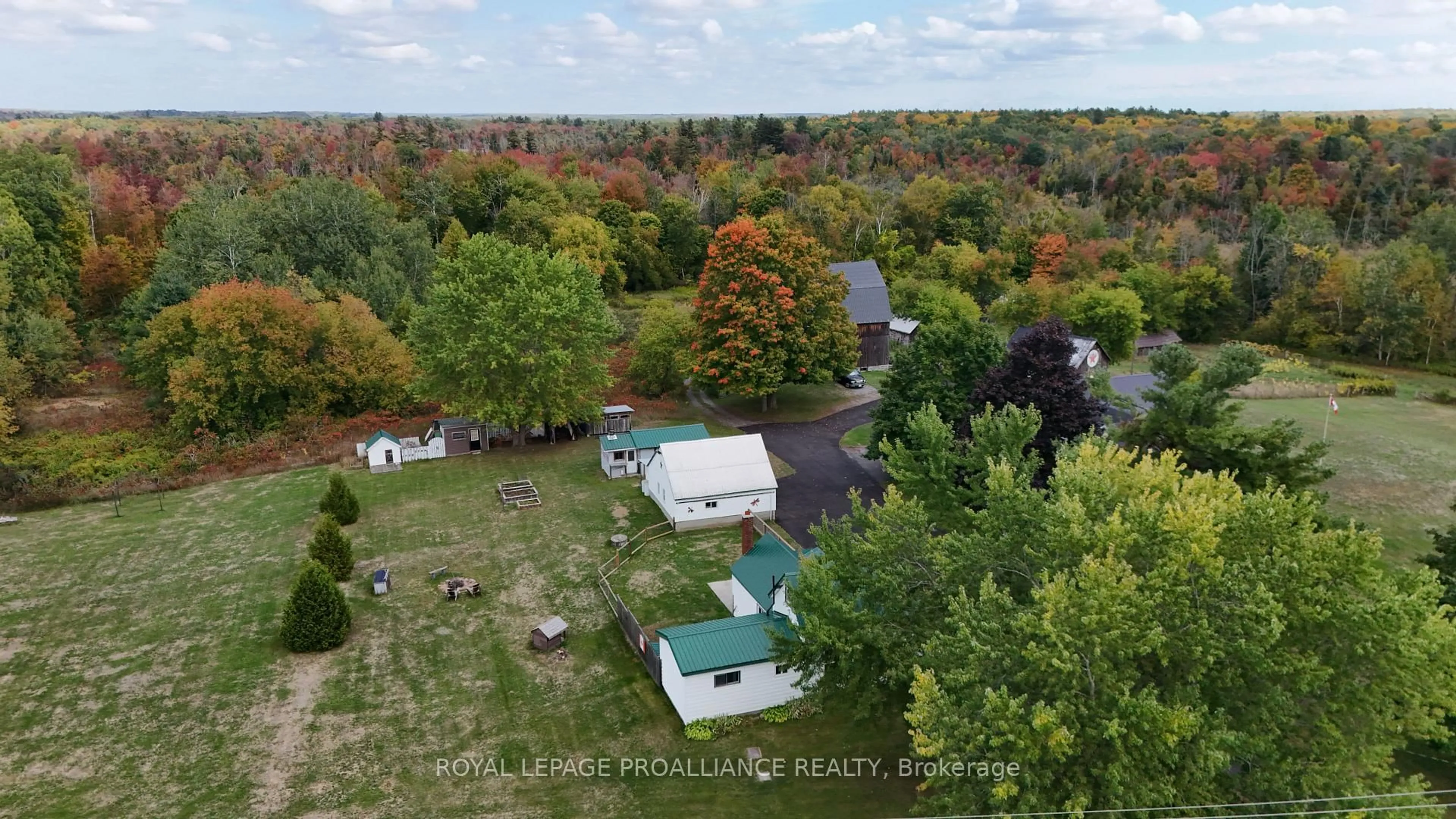 A pic from outside/outdoor area/front of a property/back of a property/a pic from drone, forest/trees view for 310 Old Madoc Rd, Quinte West Ontario K0K 2B0