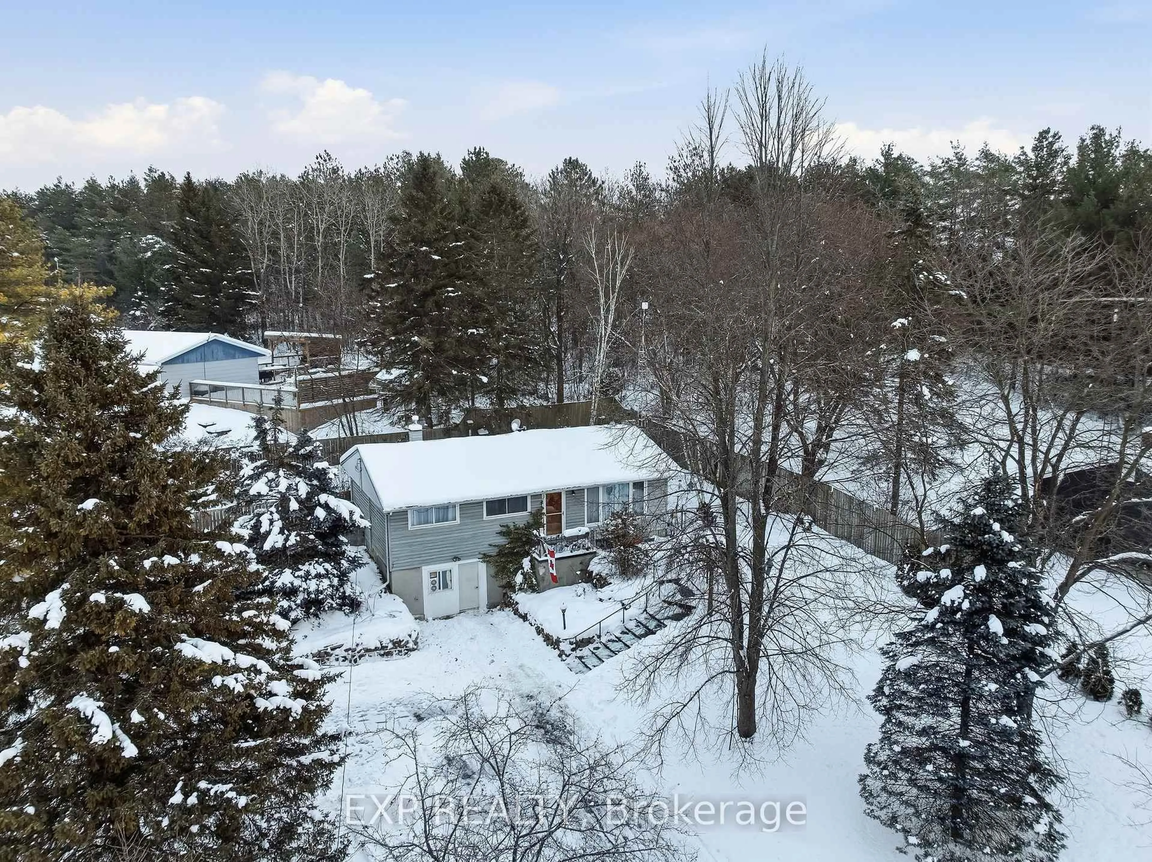 A pic from outside/outdoor area/front of a property/back of a property/a pic from drone, forest/trees view for 2825 Peter St, Hamilton Township Ontario K9A 4J9