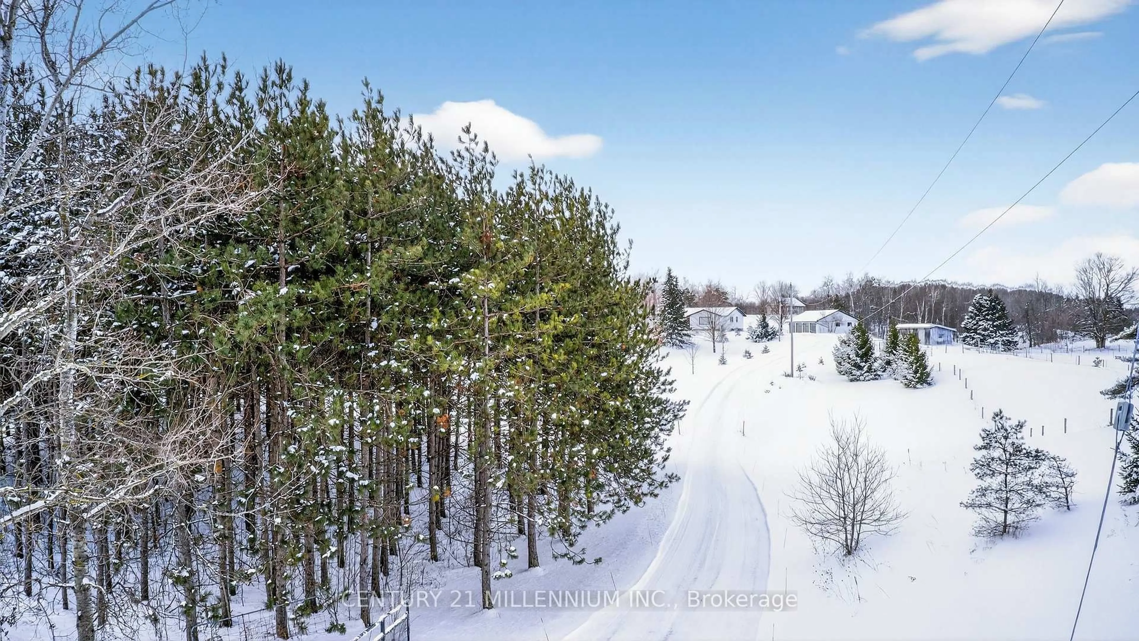 A pic from outside/outdoor area/front of a property/back of a property/a pic from drone, forest/trees view for 715188 1st Line E, Mono Ontario L9W 5T7