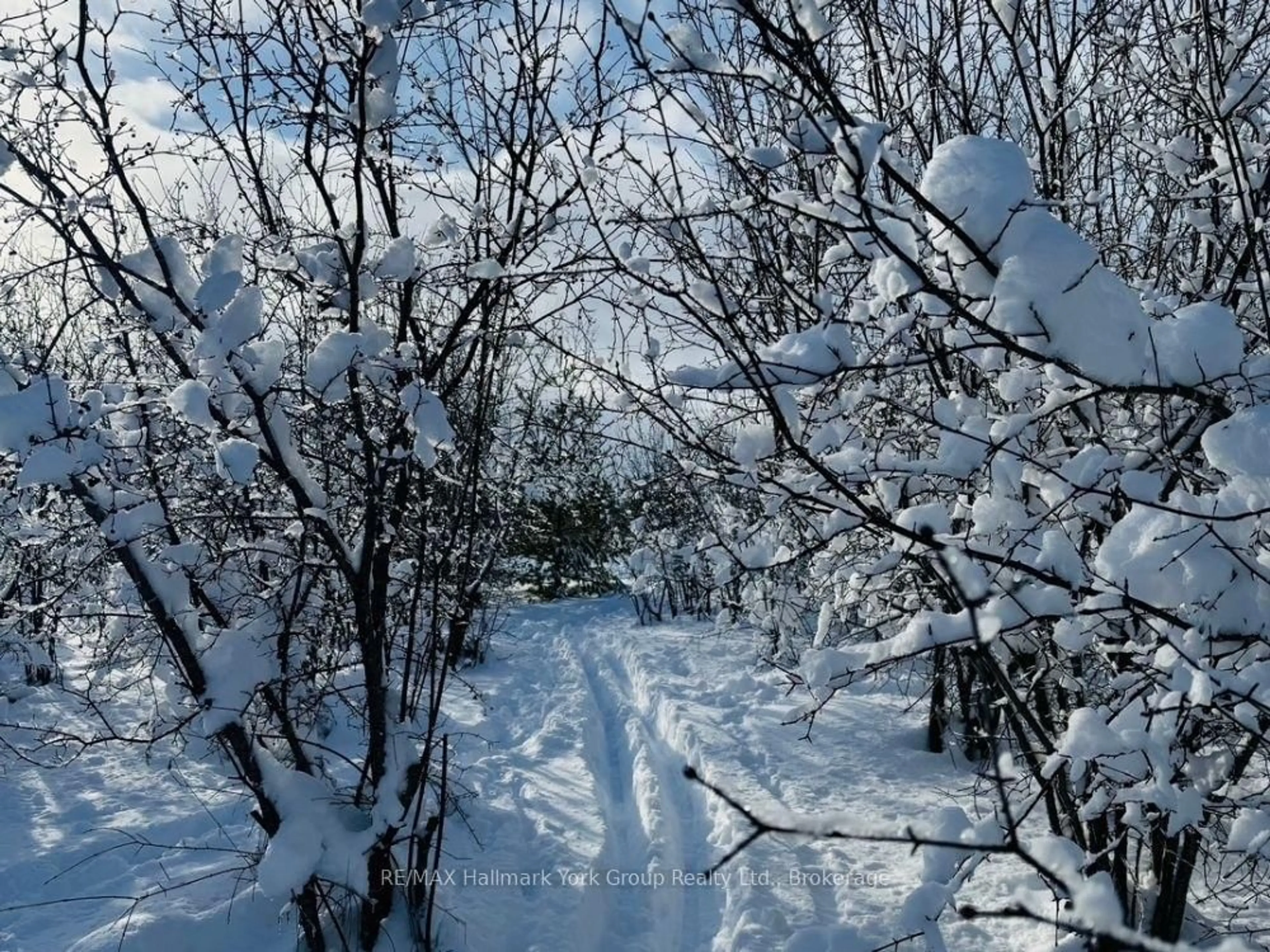 Blurry image for 125 Mountain Rd, Meaford Ontario N4L 1W6