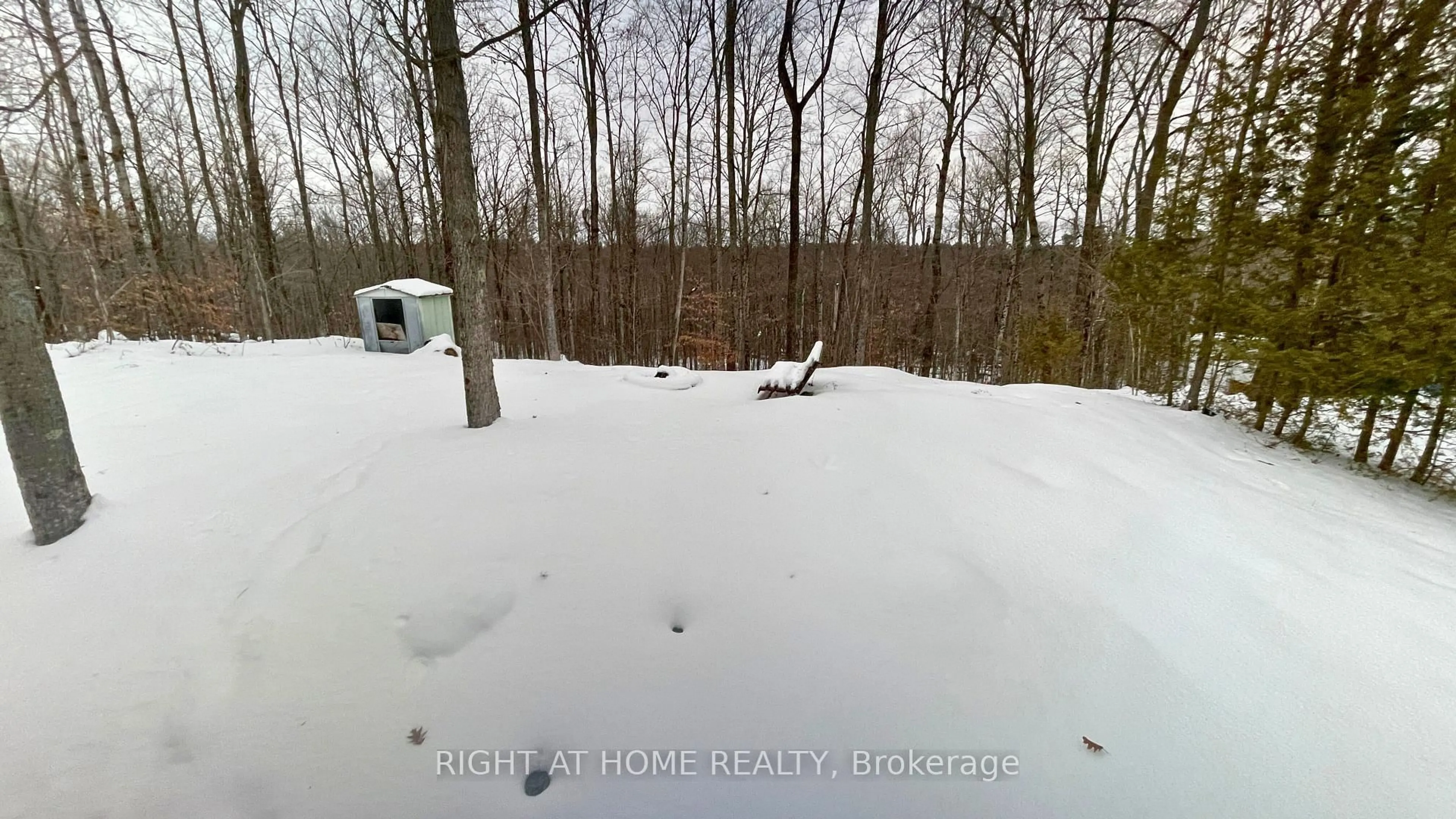 A pic from outside/outdoor area/front of a property/back of a property/a pic from drone, forest/trees view for 1365 Baker Valley Rd, Arden Ontario K0H 1B0