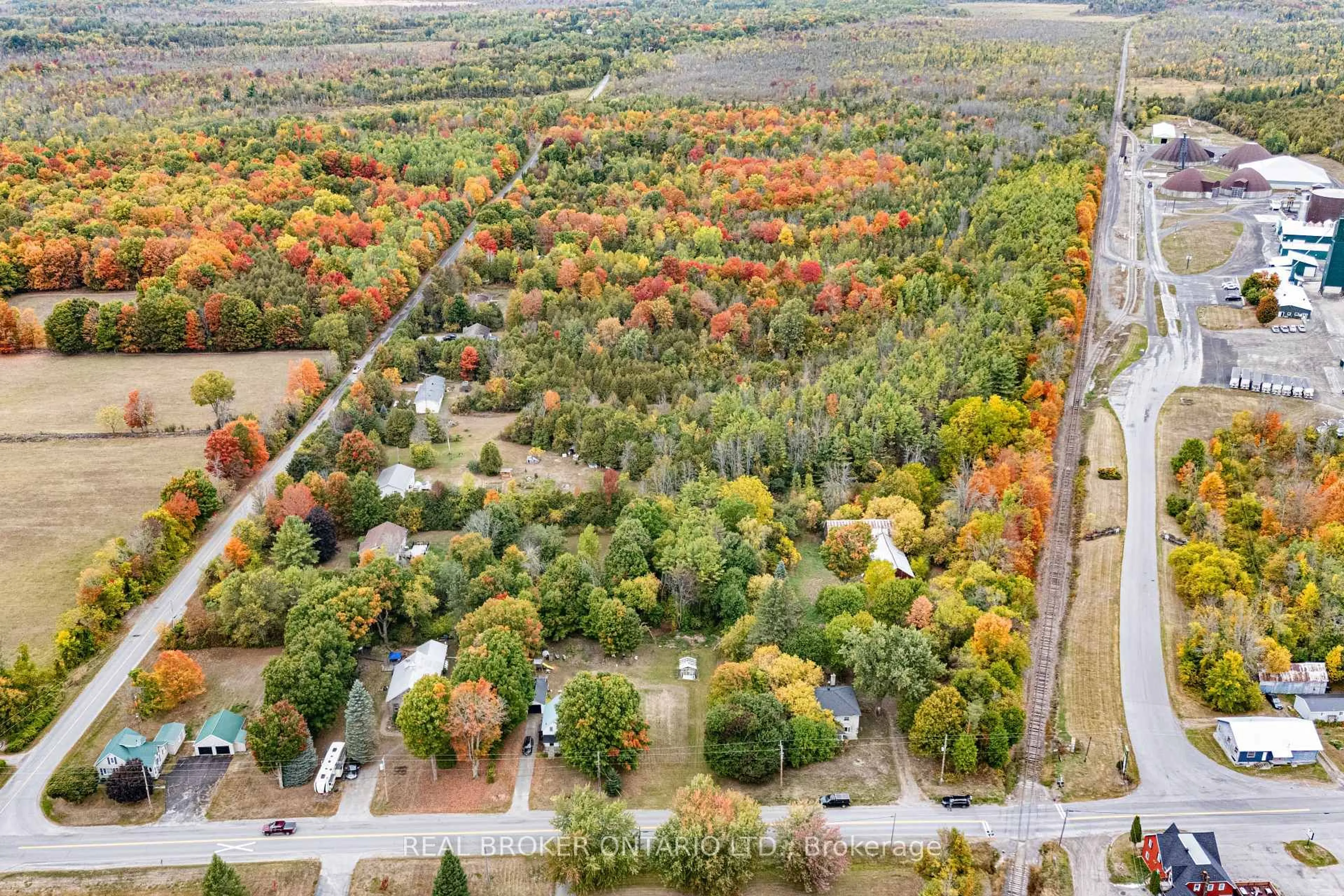 A pic from outside/outdoor area/front of a property/back of a property/a pic from drone, forest/trees view for 2099 County  20 Rd, North Grenville Ontario K0G 1T0