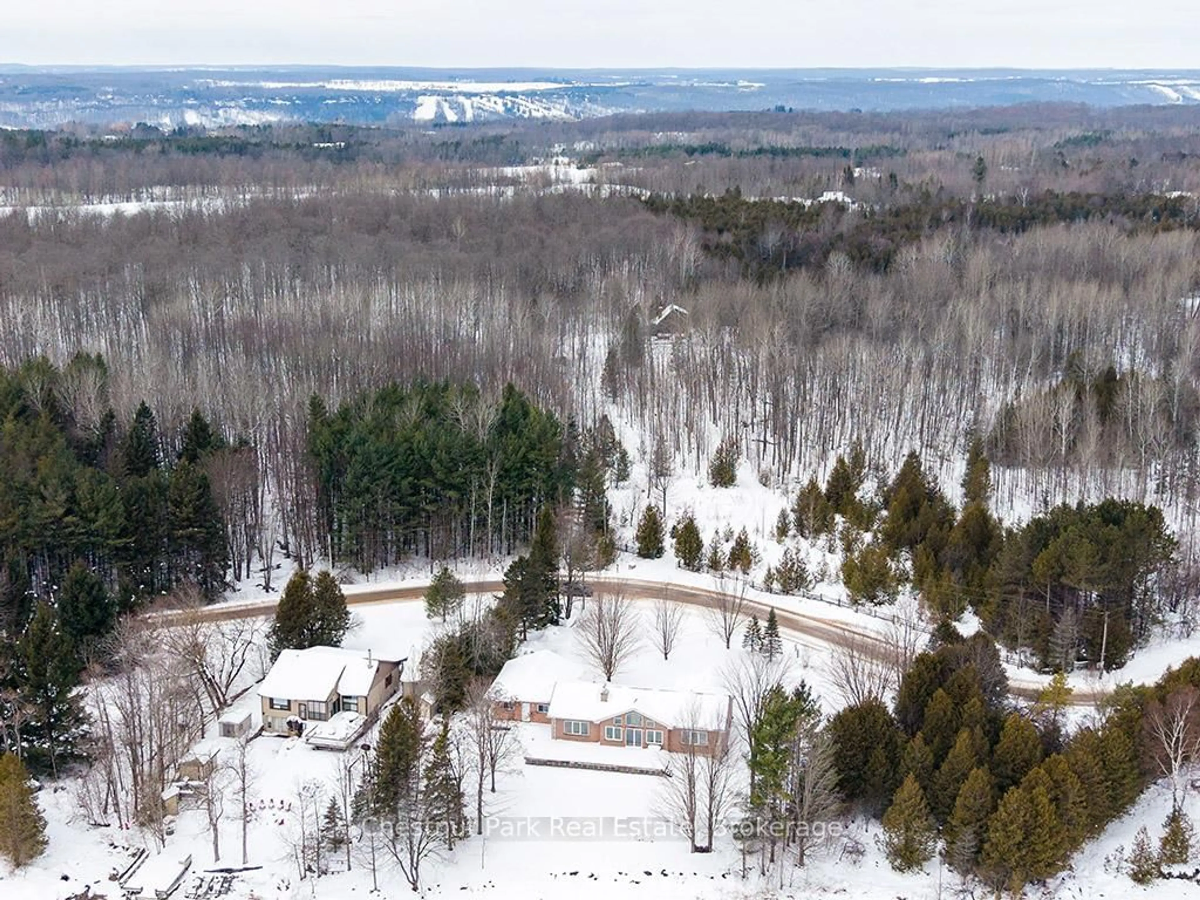 A pic from outside/outdoor area/front of a property/back of a property/a pic from drone, forest/trees view for 189 Point Rd, Grey Highlands Ontario N0C 1E0
