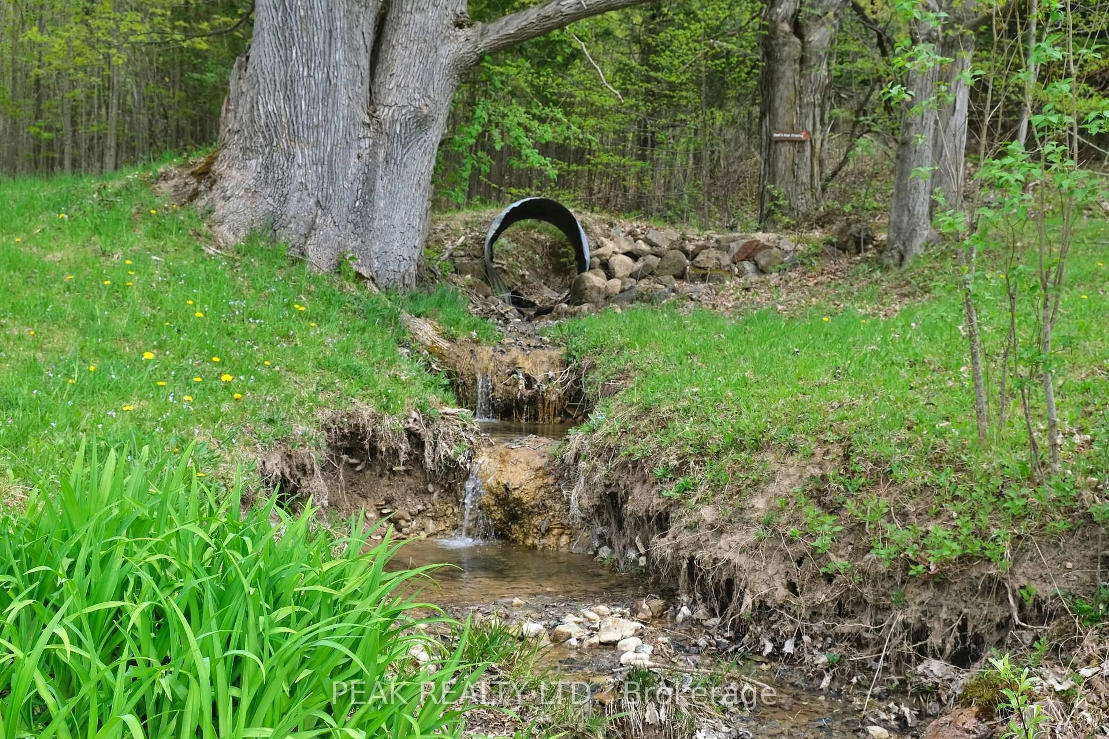 Blurry image for 546299 Sideroad 4B Sdrd, Grey Highlands Ontario N0C 1G0