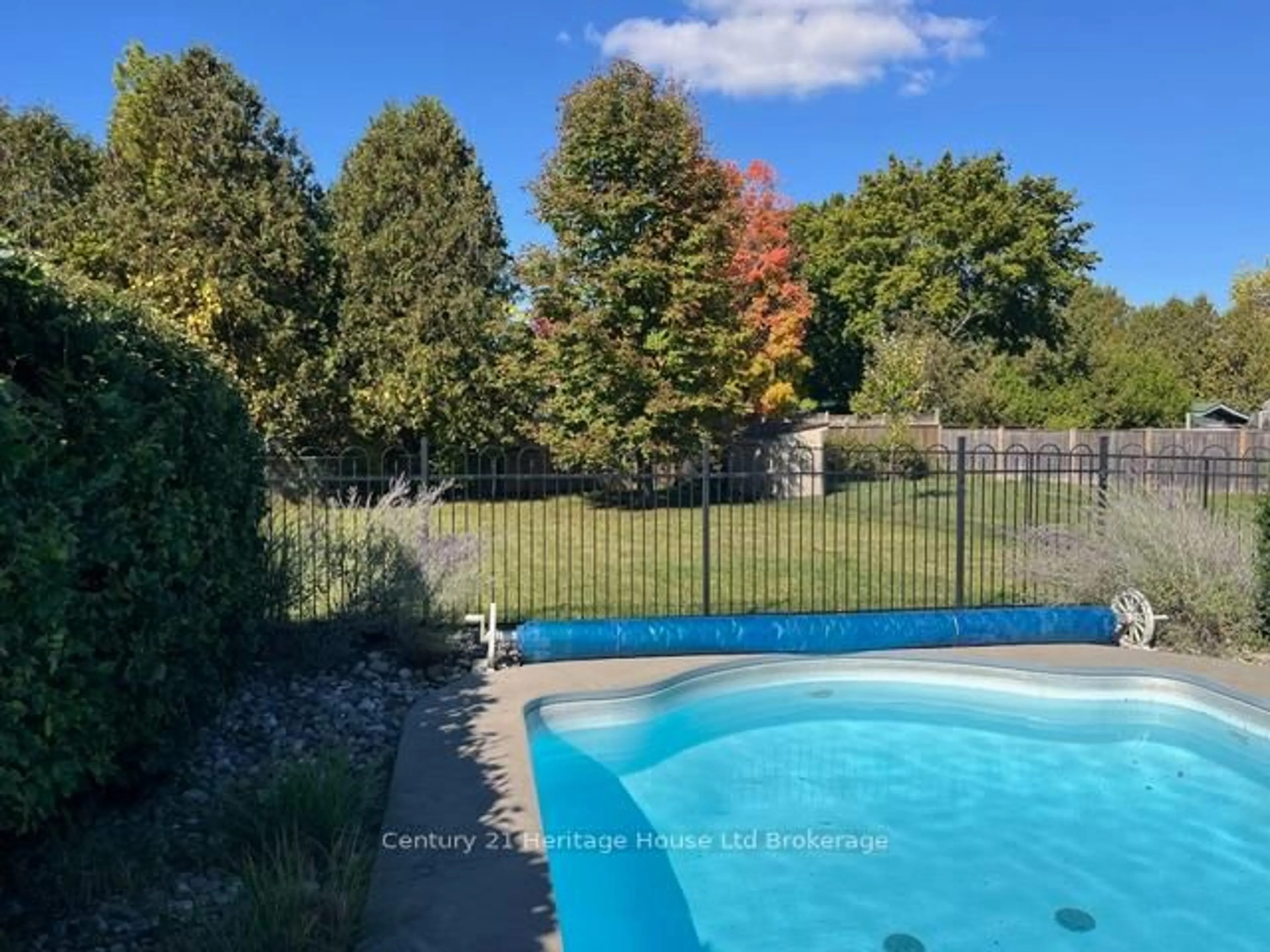 Pool for 55 Denrich Ave, Tillsonburg Ontario N4G 4X6