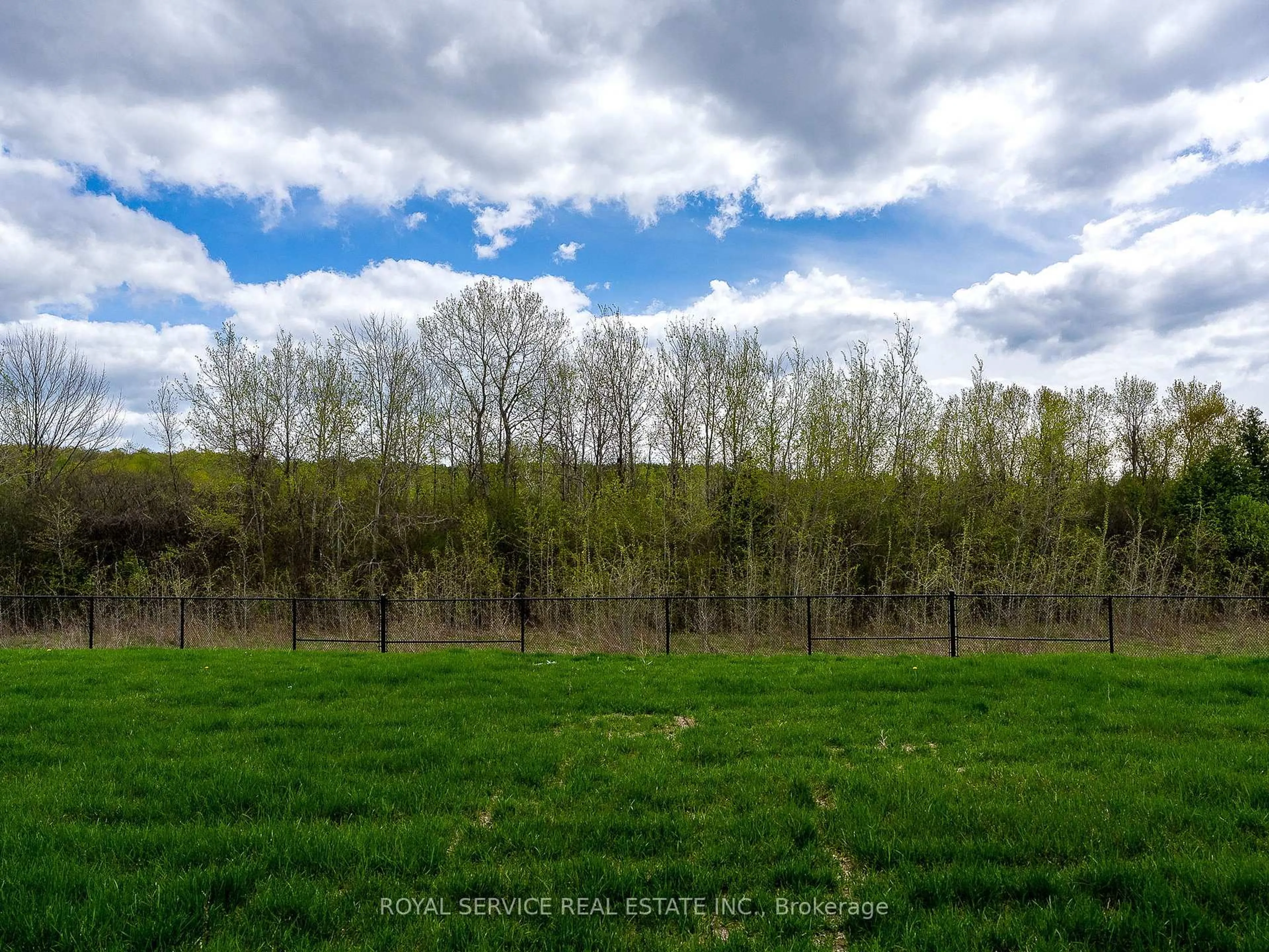 A pic from outside/outdoor area/front of a property/back of a property/a pic from drone, forest/trees view for 472 Trevor St, Cobourg Ontario K9A 4J6