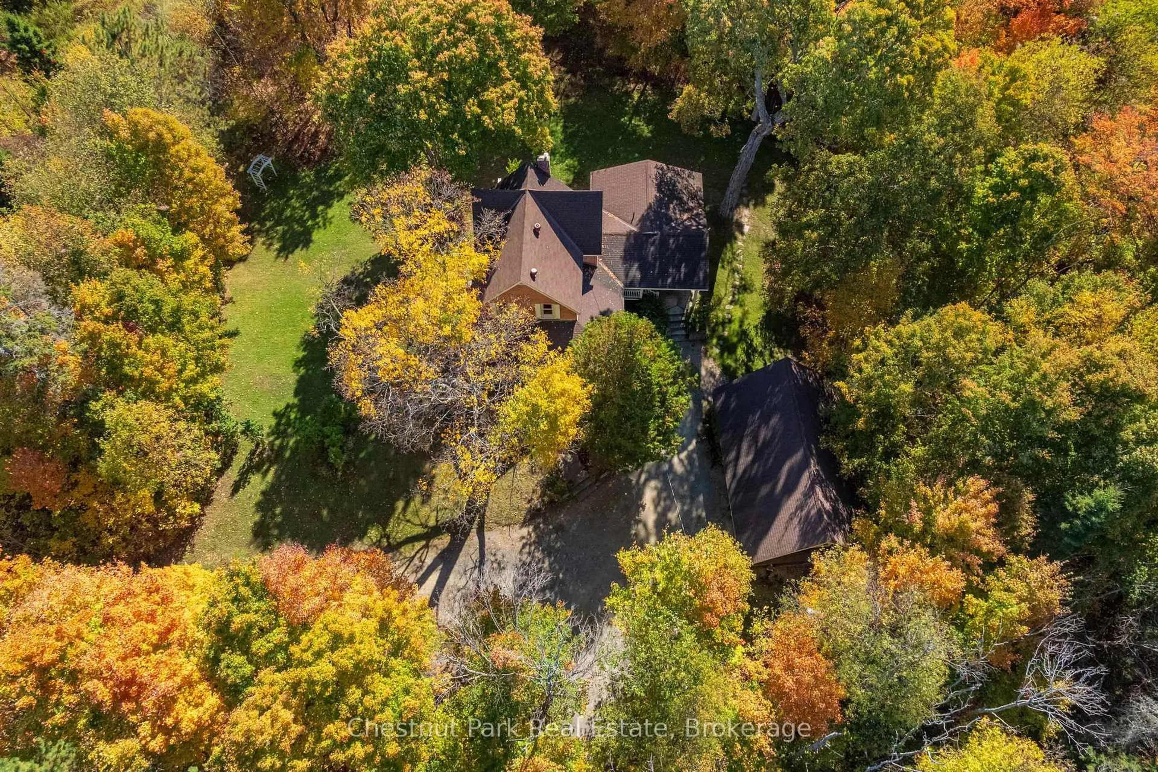 A pic from outside/outdoor area/front of a property/back of a property/a pic from drone, forest/trees view for 2360 60 Highway, Lake of Bays Ontario P1H 2E5