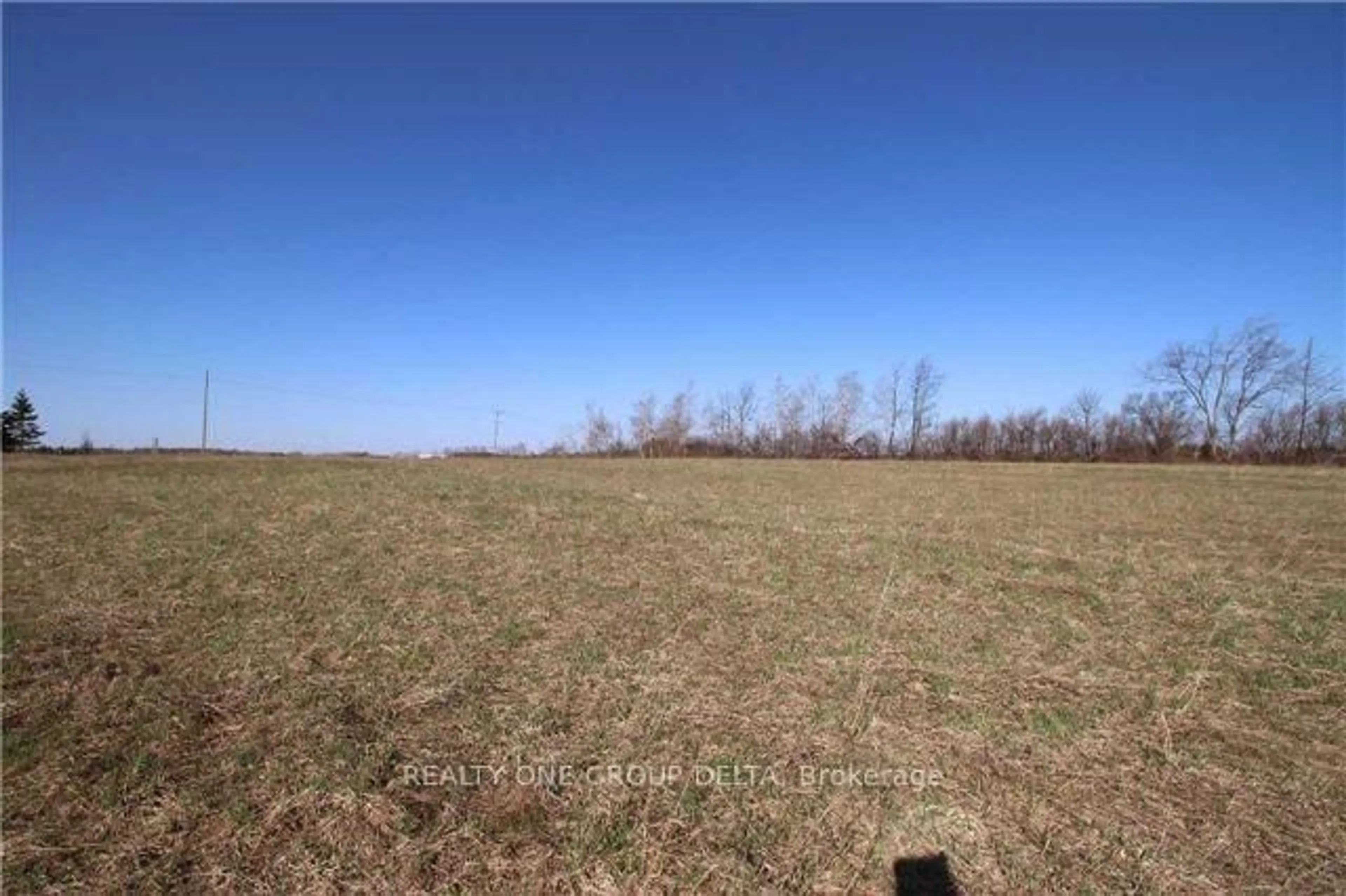 A pic from outside/outdoor area/front of a property/back of a property/a pic from drone, forest/trees view for 772789 Highway 10, Grey Highlands Ontario N0B 1C0