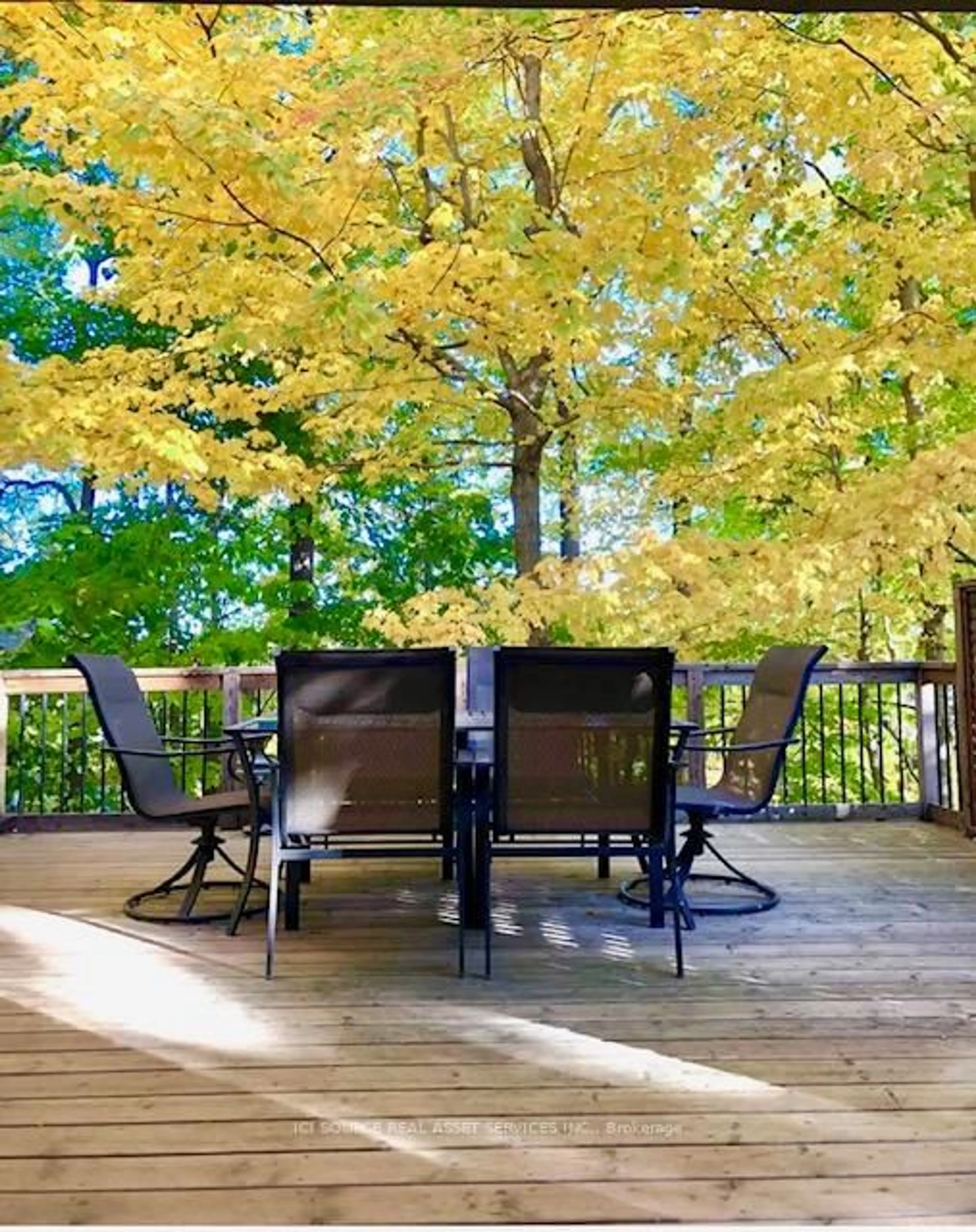 Patio, forest/trees view for 350 Sarnia Rd, London North Ontario N6G 1N3