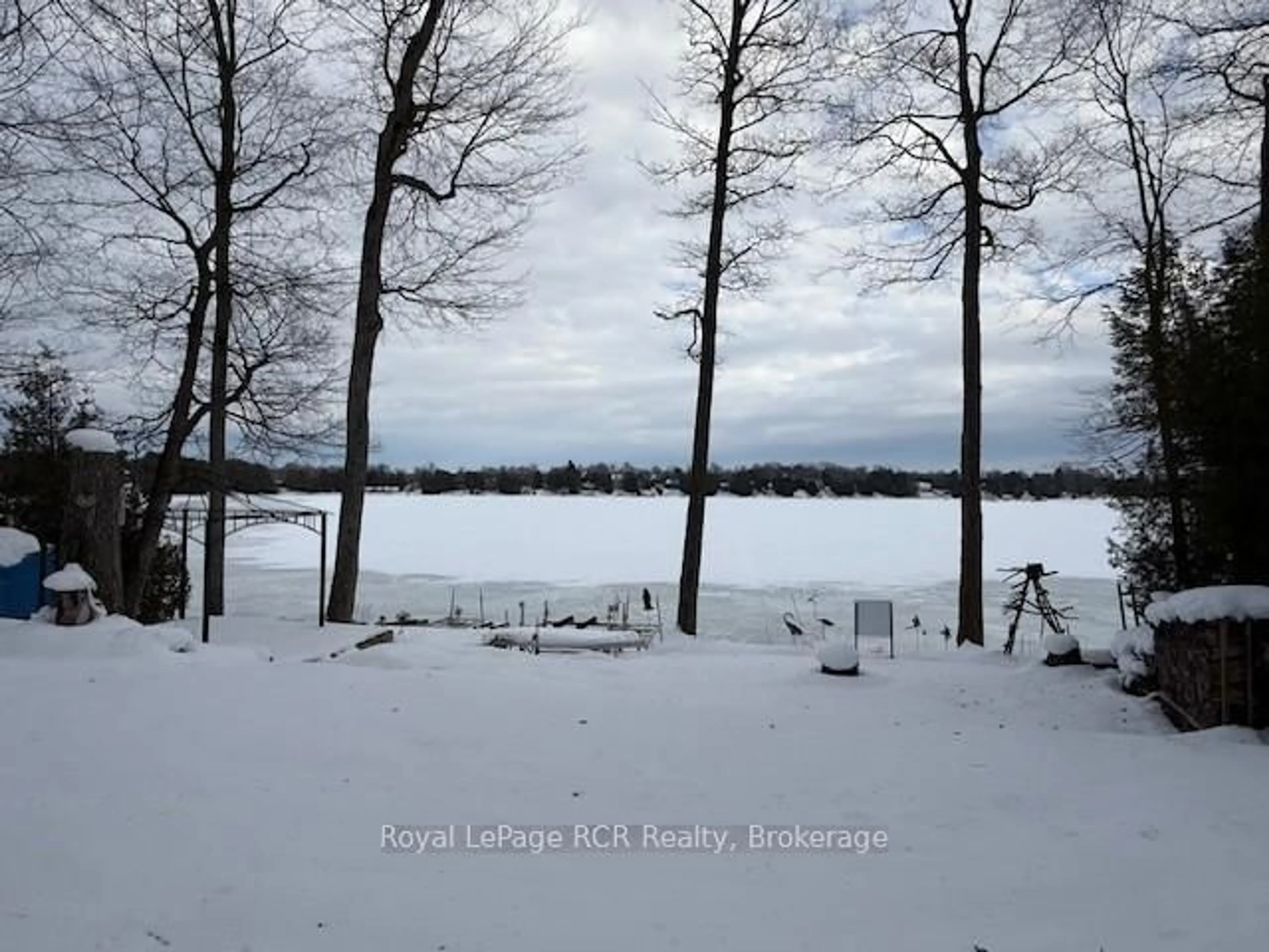 Blurry image for 173 MacDonalds Rd, Grey Highlands Ontario N0C 1E0