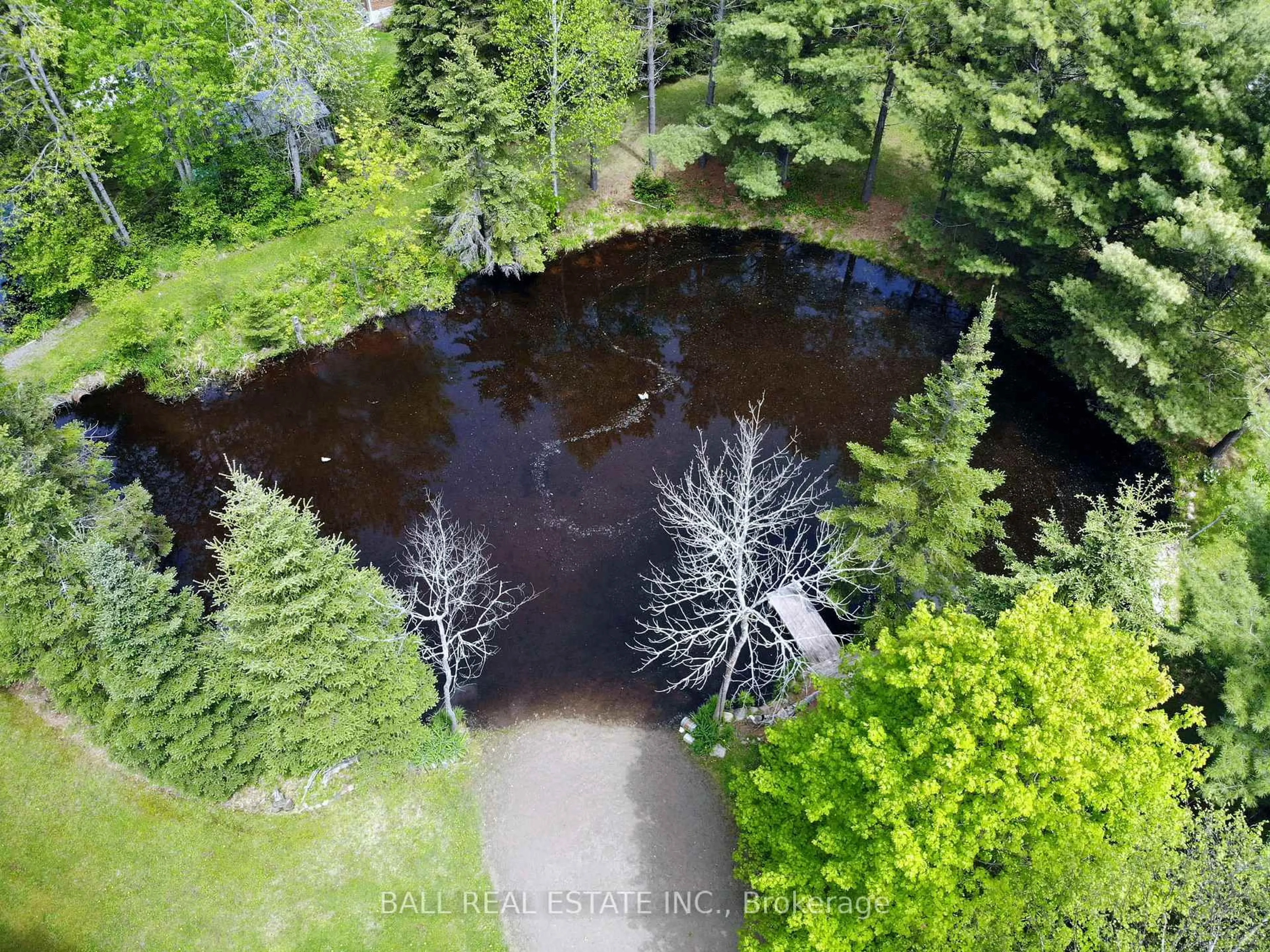 A pic from outside/outdoor area/front of a property/back of a property/a pic from drone, forest/trees view for 1017 Clement Lake Rd, Highlands East Ontario K0L 3C0