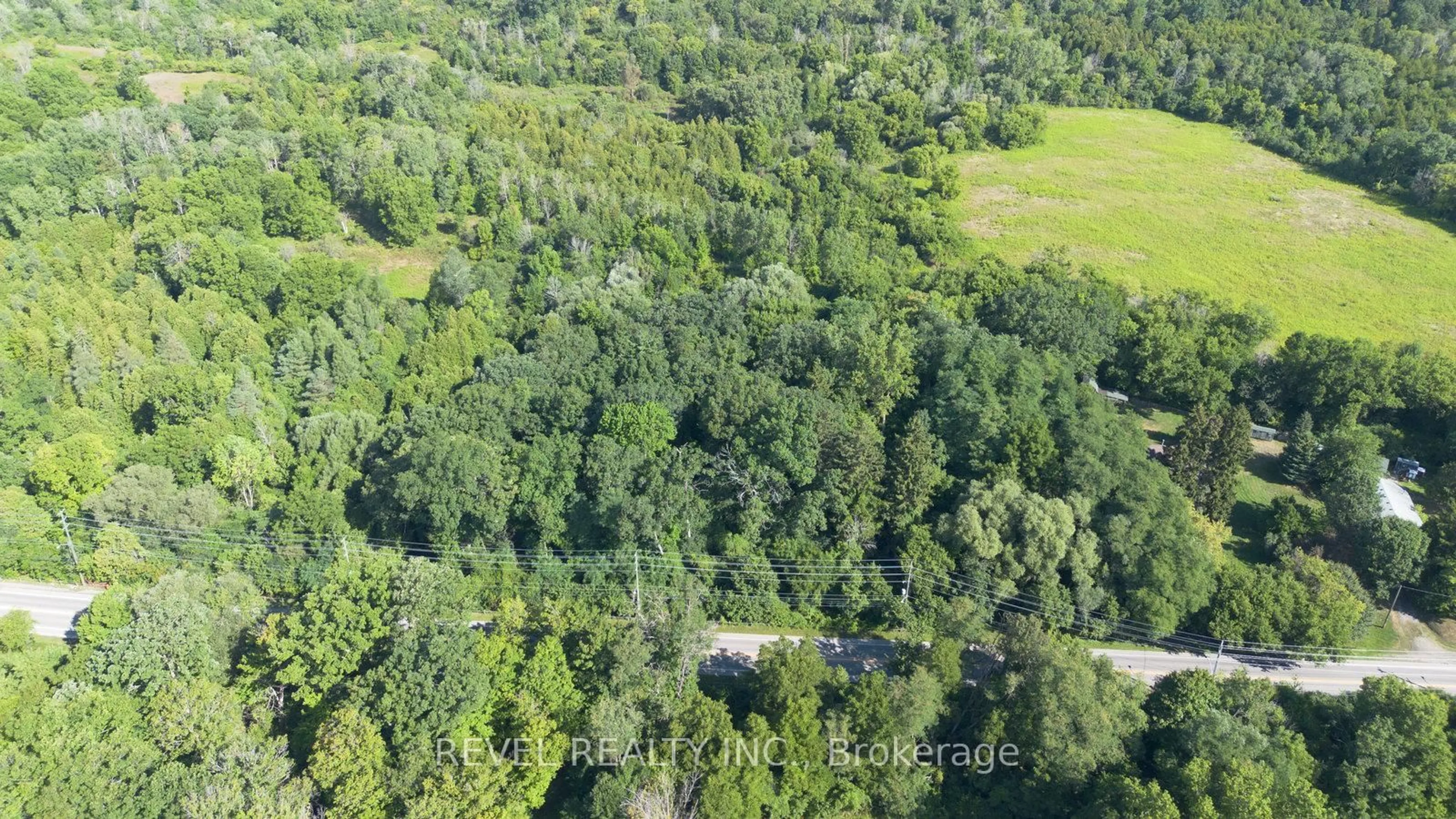 A pic from outside/outdoor area/front of a property/back of a property/a pic from drone, forest/trees view for PT LT 22 CON 2, Brantford Ontario N3T 5K7