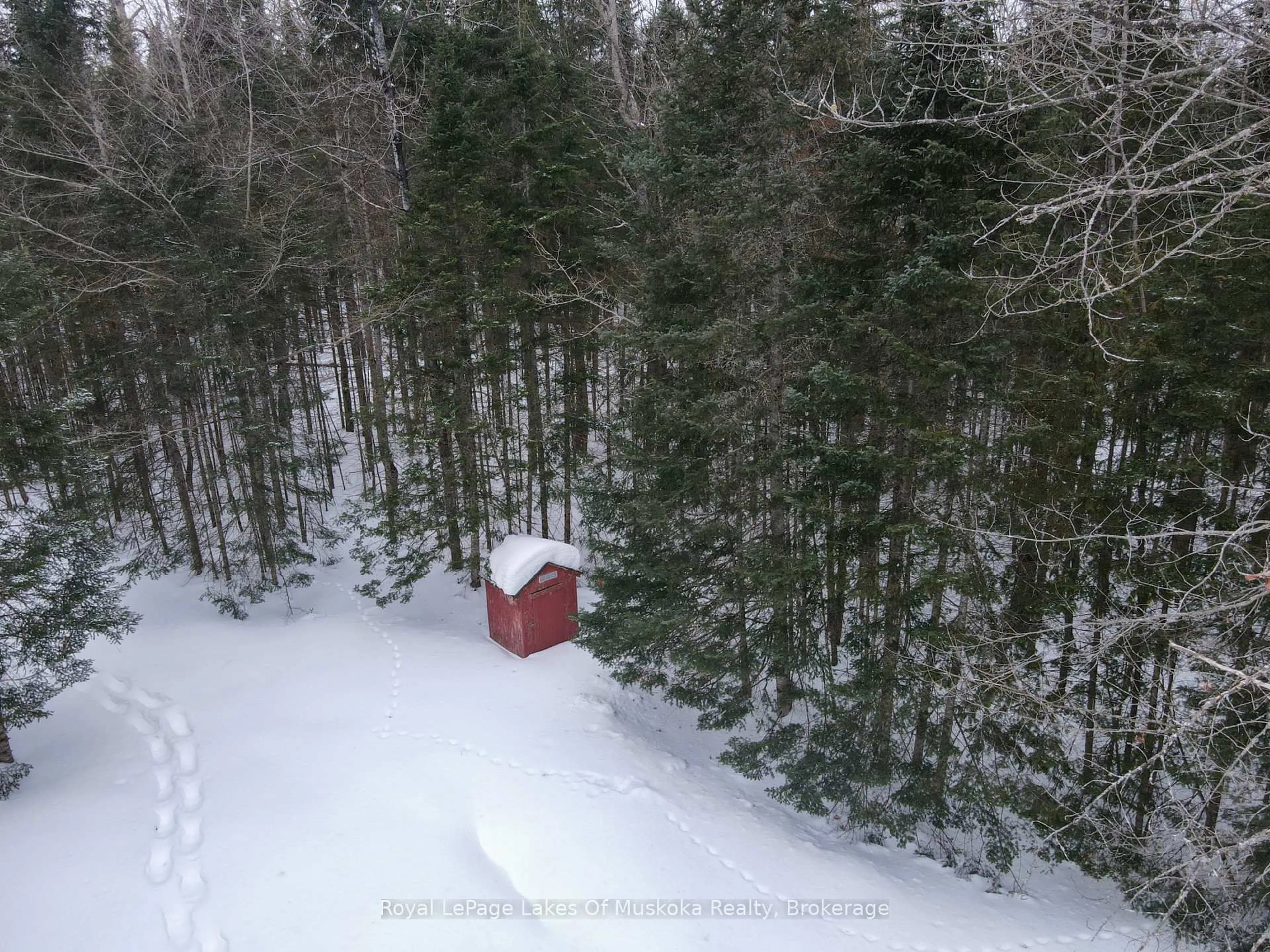 Shed for 1238 Star Lake Rd, McMurrich/Monteith Ontario P0A 1Y0