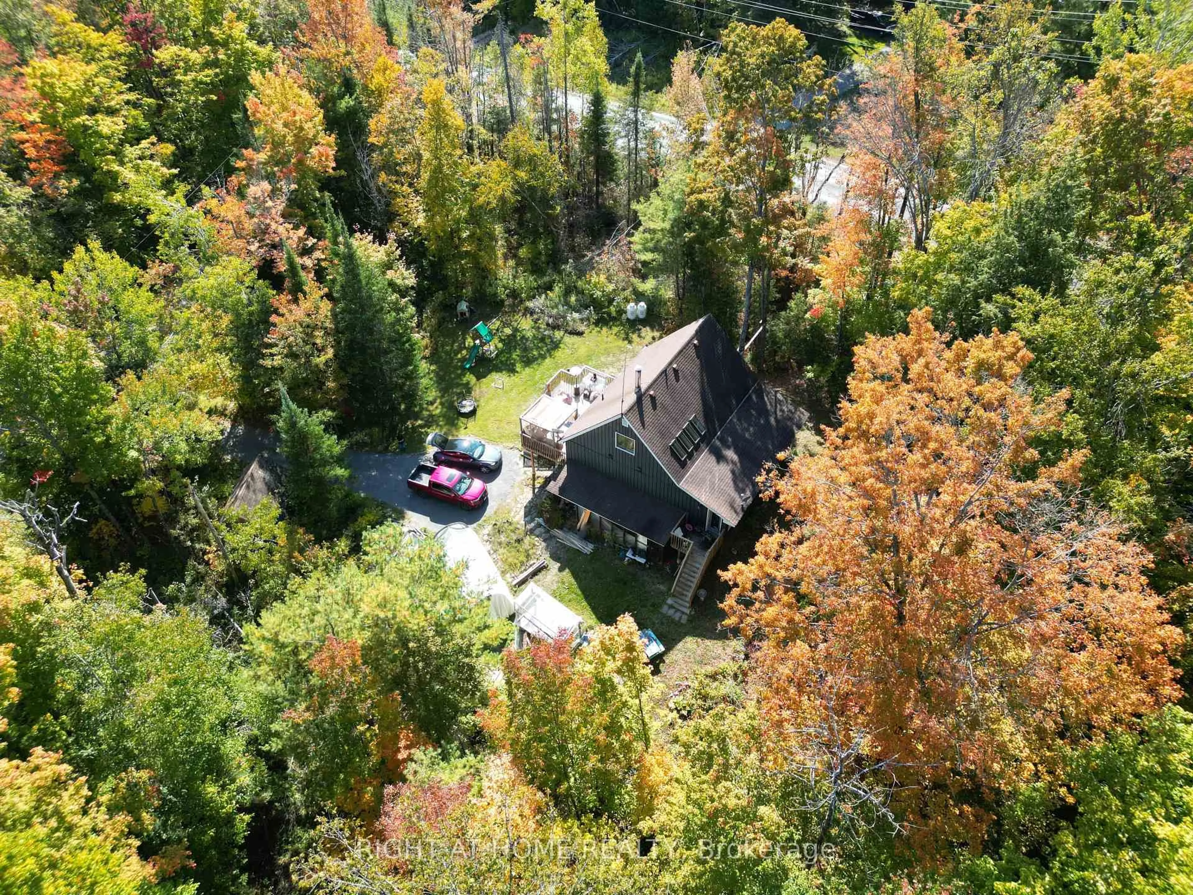 A pic from outside/outdoor area/front of a property/back of a property/a pic from drone, forest/trees view for 761 JACK LAKE Rd, Havelock-Belmont-Methuen Ontario K0L 1A0