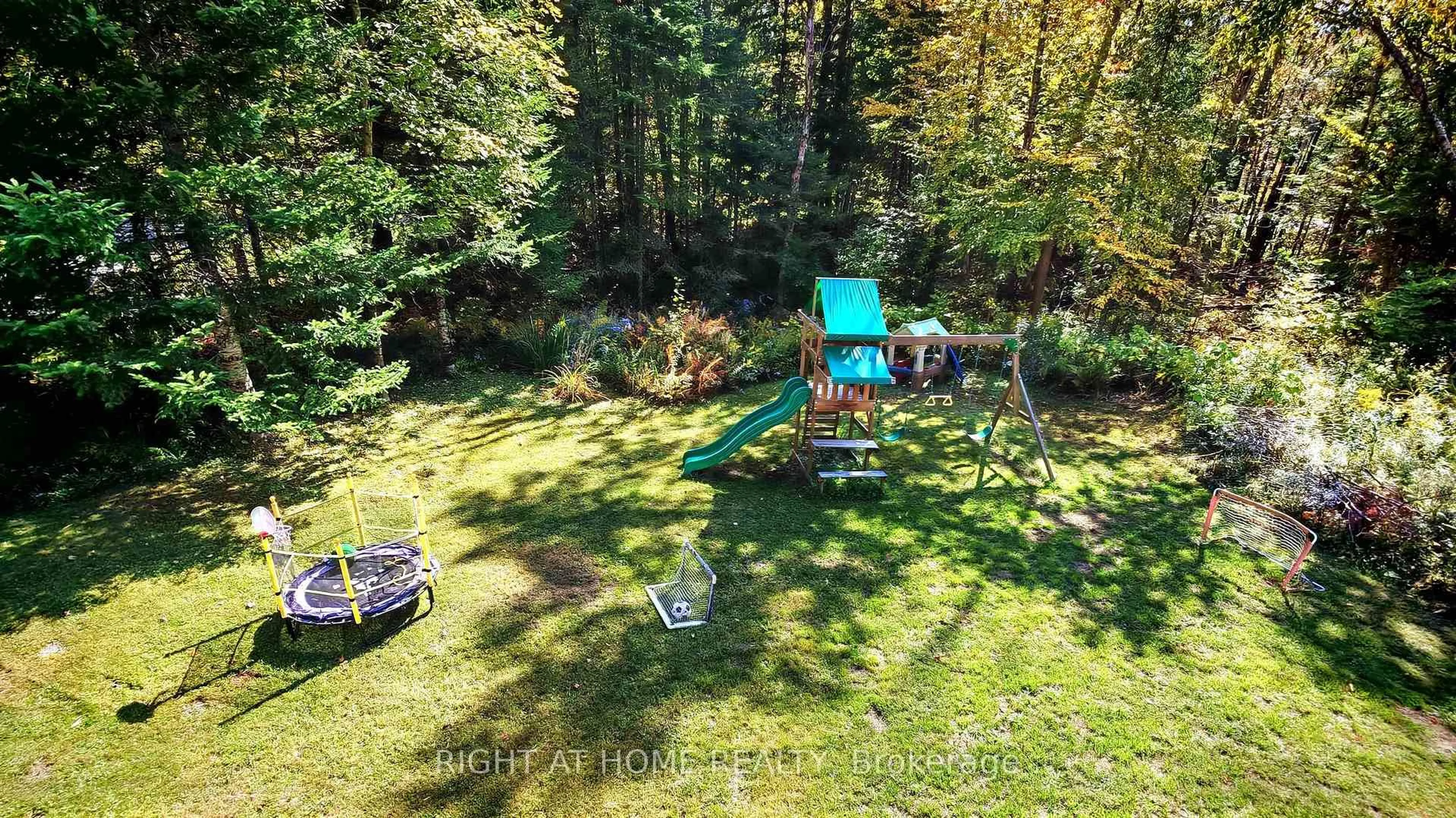 A pic from outside/outdoor area/front of a property/back of a property/a pic from drone, forest/trees view for 761 JACK LAKE Rd, Havelock-Belmont-Methuen Ontario K0L 1A0