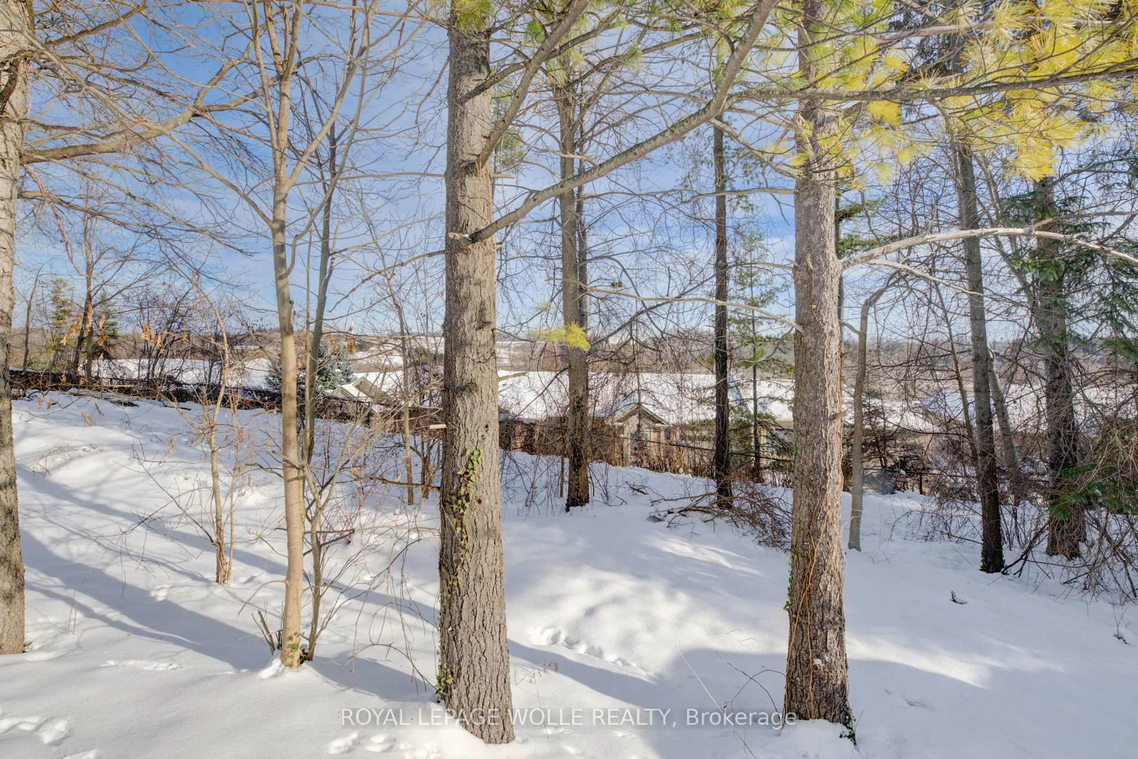 A pic from outside/outdoor area/front of a property/back of a property/a pic from drone, forest/trees view for 33 Tinatawa Crt, Waterloo Ontario N2A 3G9