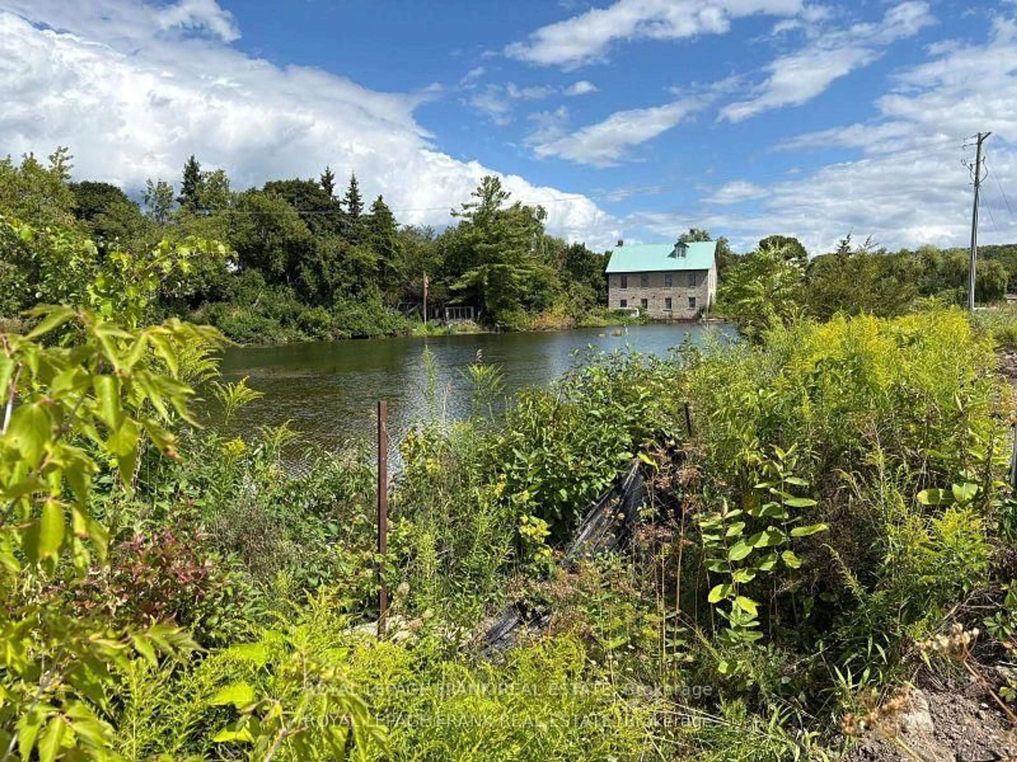 A pic from outside/outdoor area/front of a property/back of a property/a pic from drone, water/lake/river/ocean view for 3 Pond St, Trent Hills Ontario K0L 1Y0