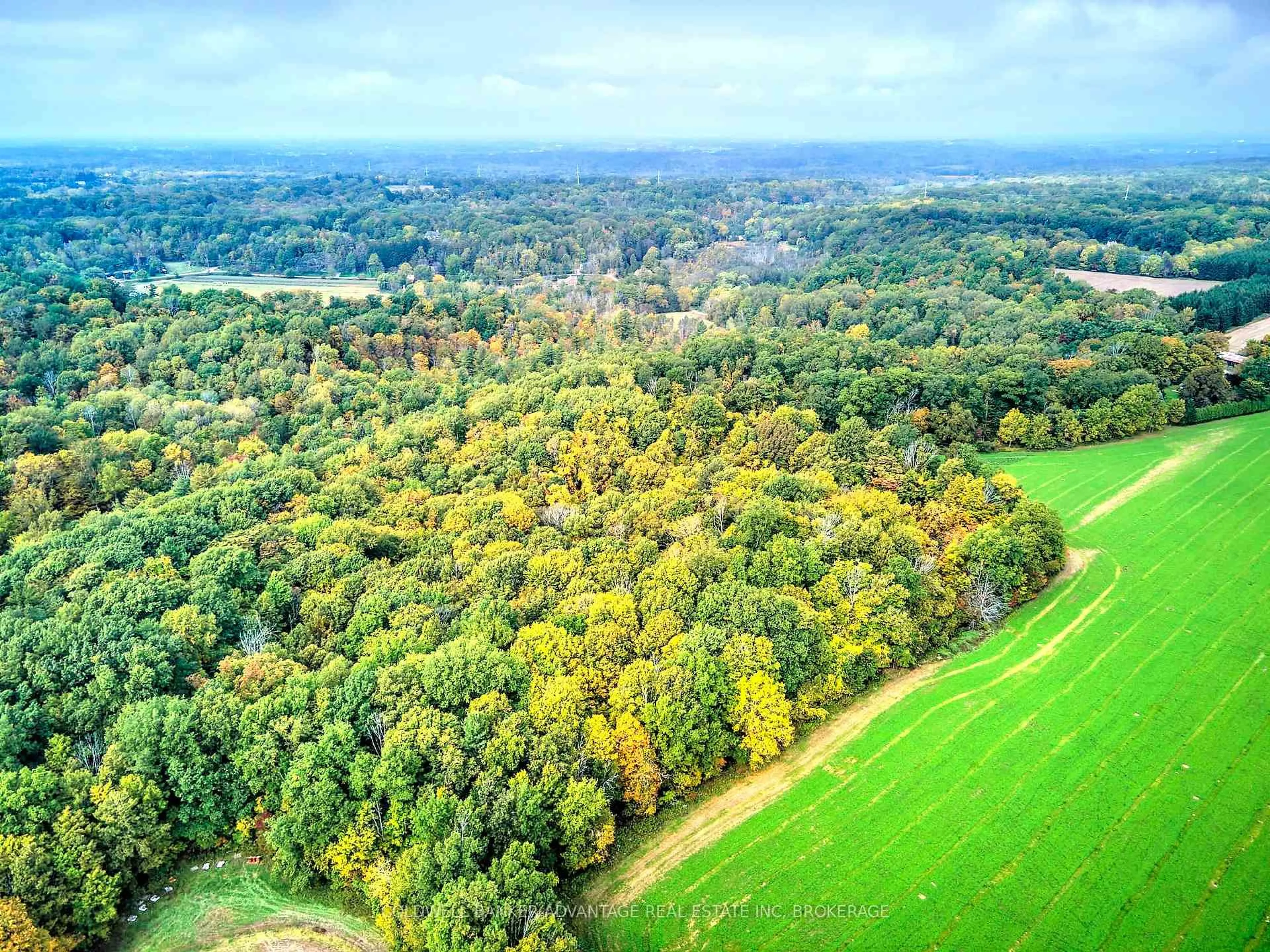 A pic from outside/outdoor area/front of a property/back of a property/a pic from drone, forest/trees view for 154&155 Lot, Thorold Ontario L0S 1E6