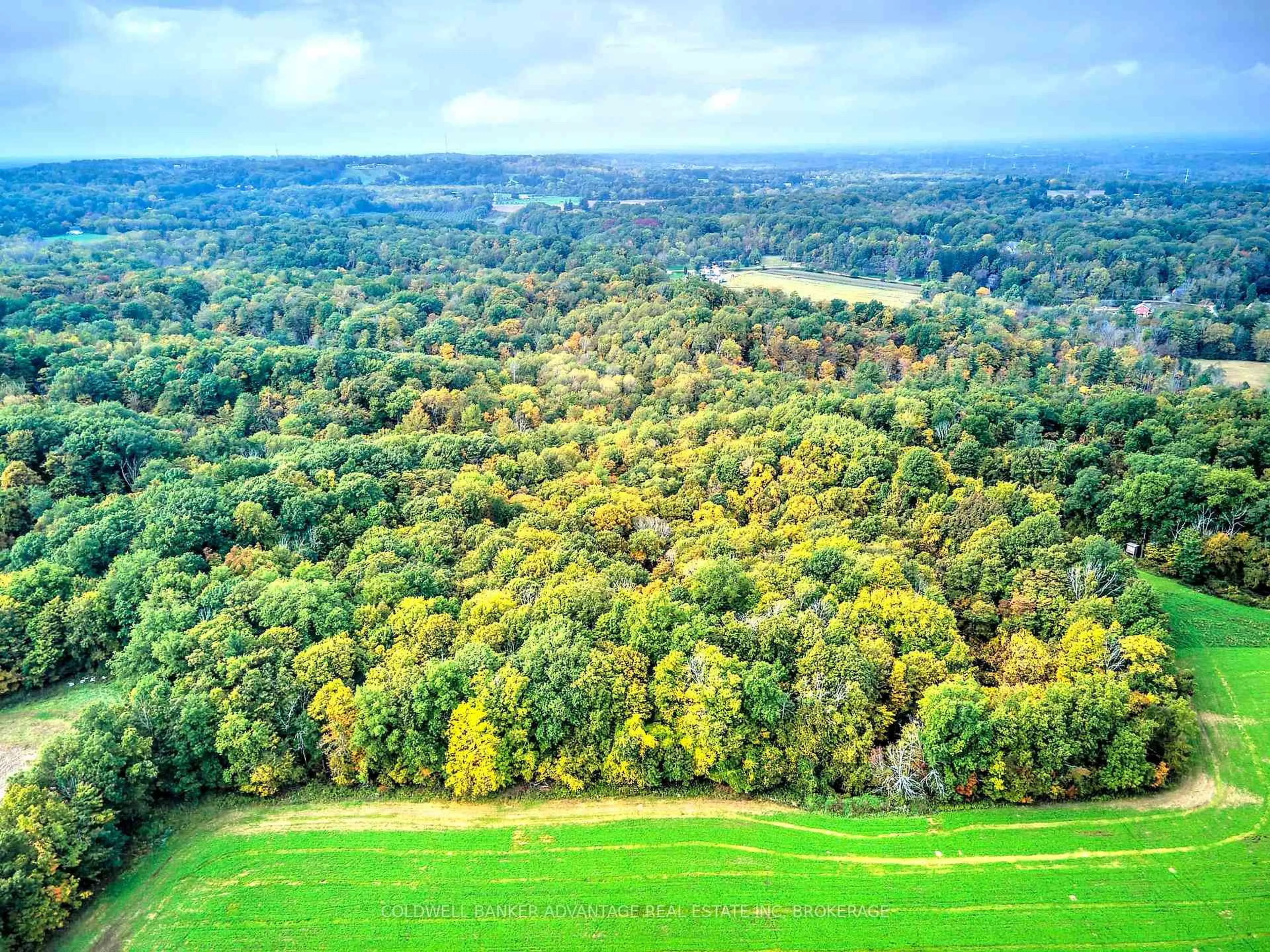 A pic from outside/outdoor area/front of a property/back of a property/a pic from drone, forest/trees view for 154&155 Lot, Thorold Ontario L0S 1E6