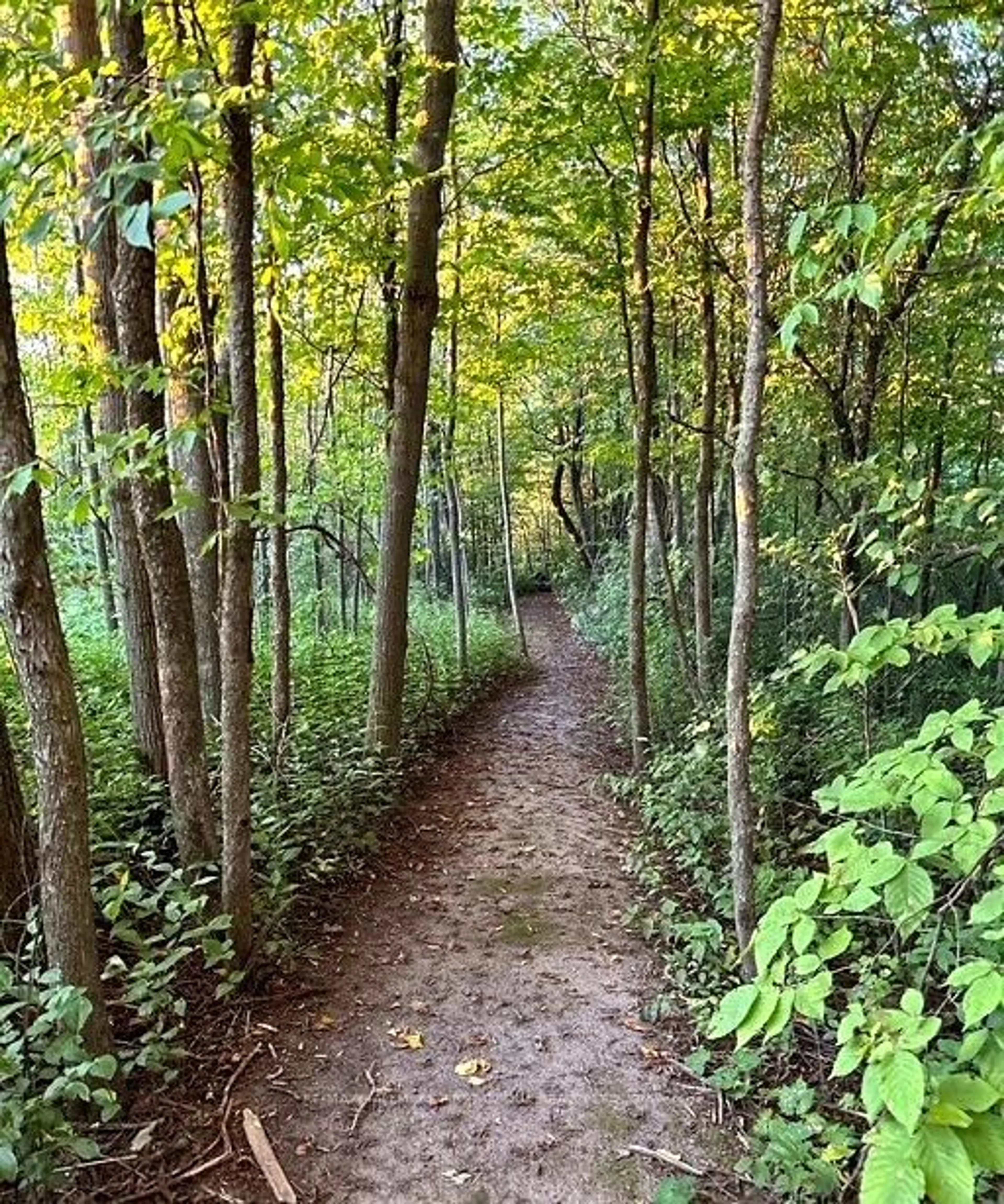 Blurry image for 635 Northumberland Heights Rd, Alnwick/Haldimand Ontario K9A 4J8