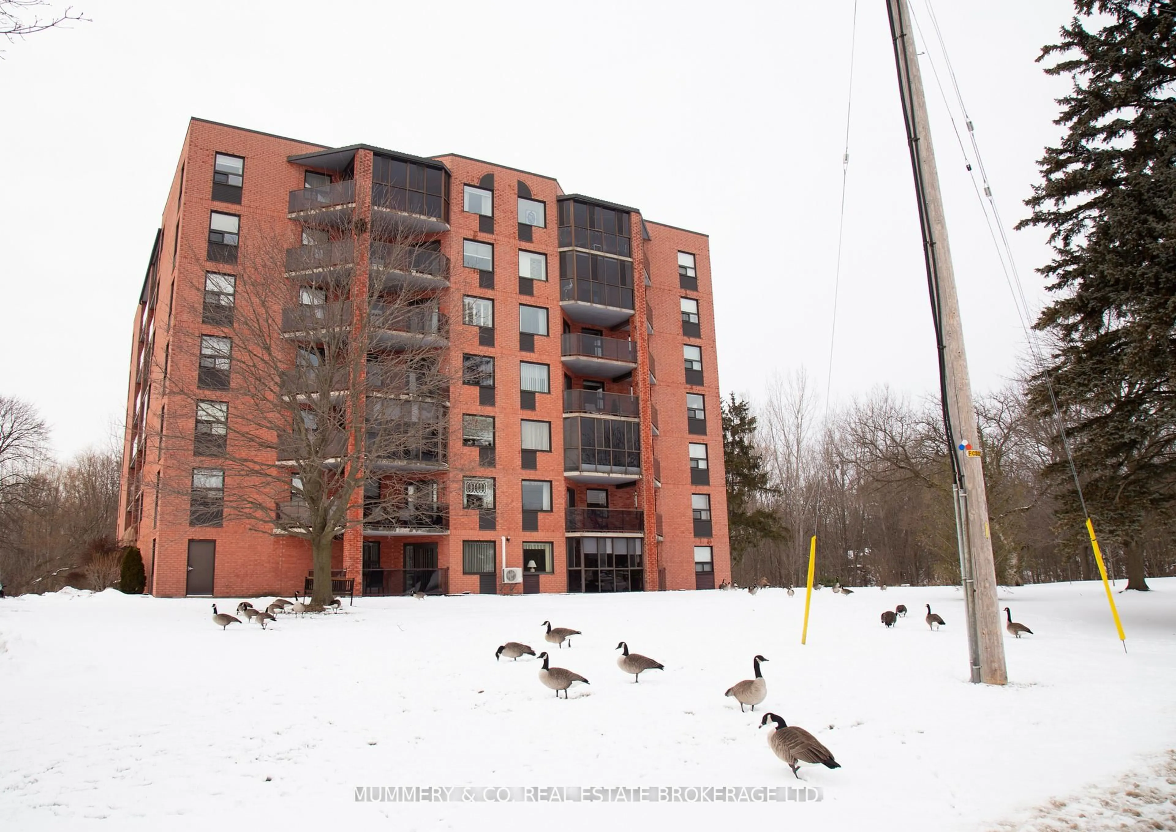 Unknown for 5 Mill Pond Crt #704, Norfolk Ontario N3Y 5J6