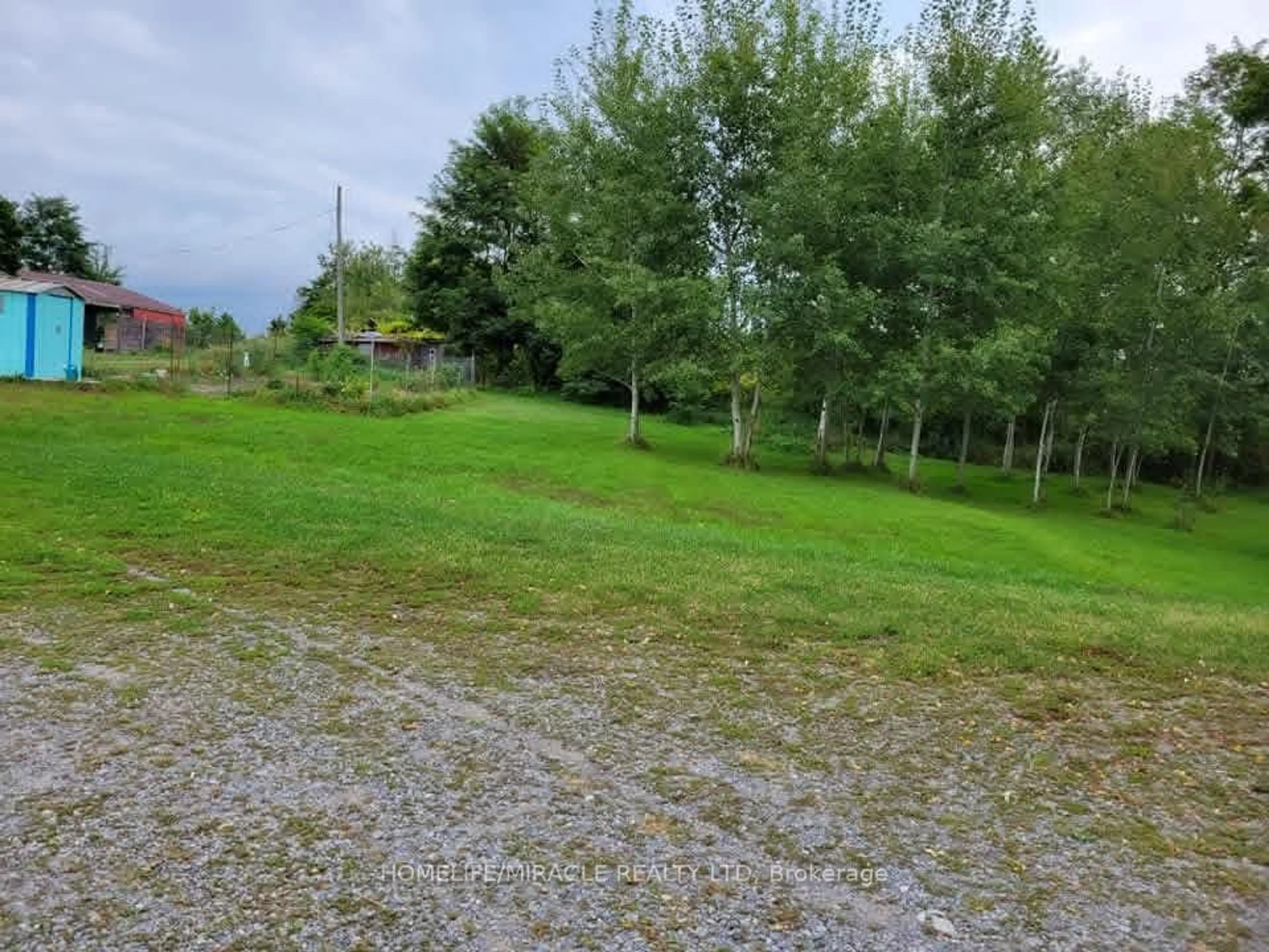 A pic from outside/outdoor area/front of a property/back of a property/a pic from drone, forest/trees view for 979 County Rd 30 Rd, Brighton Ontario K0K 1H0