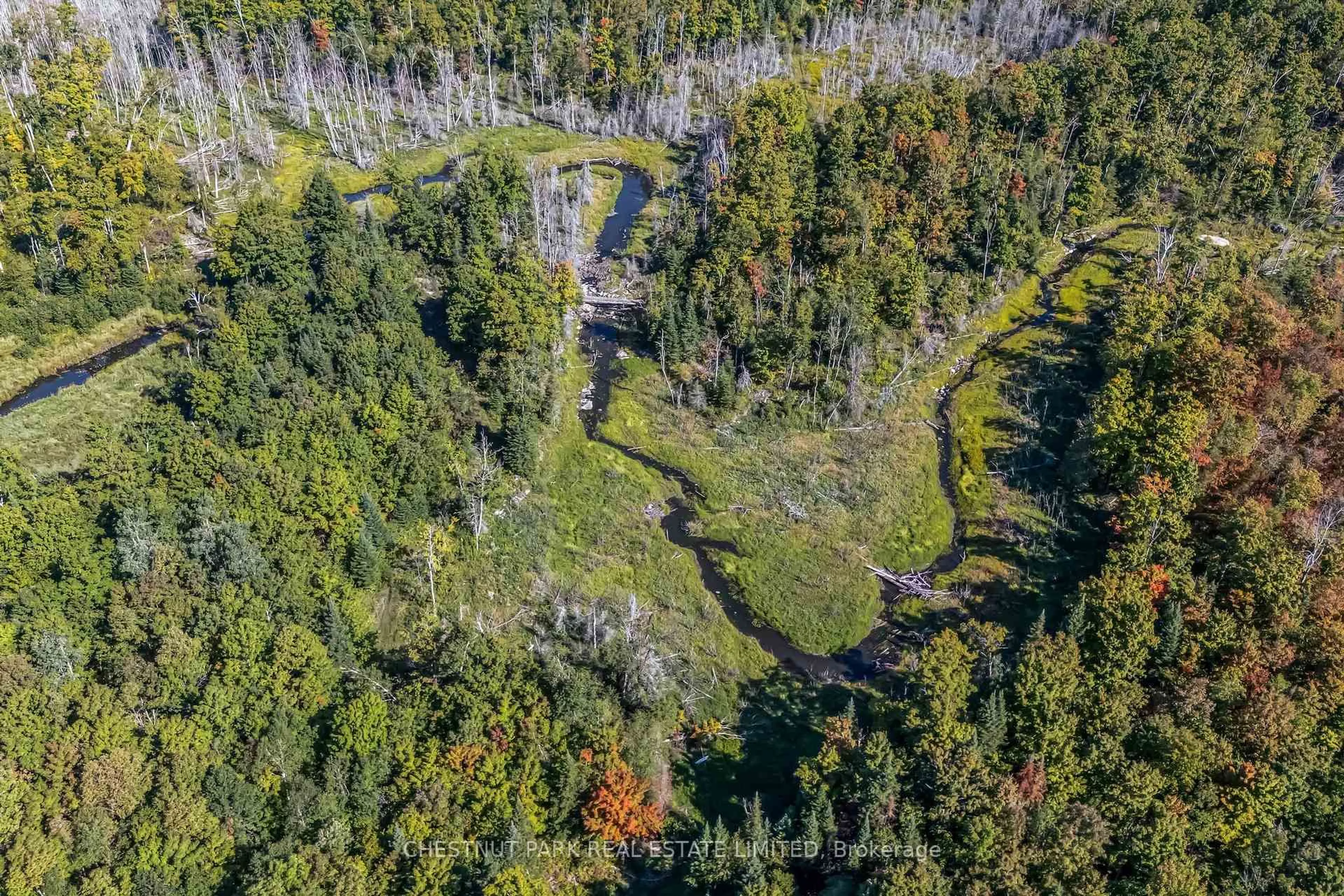 A pic from outside/outdoor area/front of a property/back of a property/a pic from drone, forest/trees view for 682 Felbers Rd, Madoc Ontario K0K 1Y0