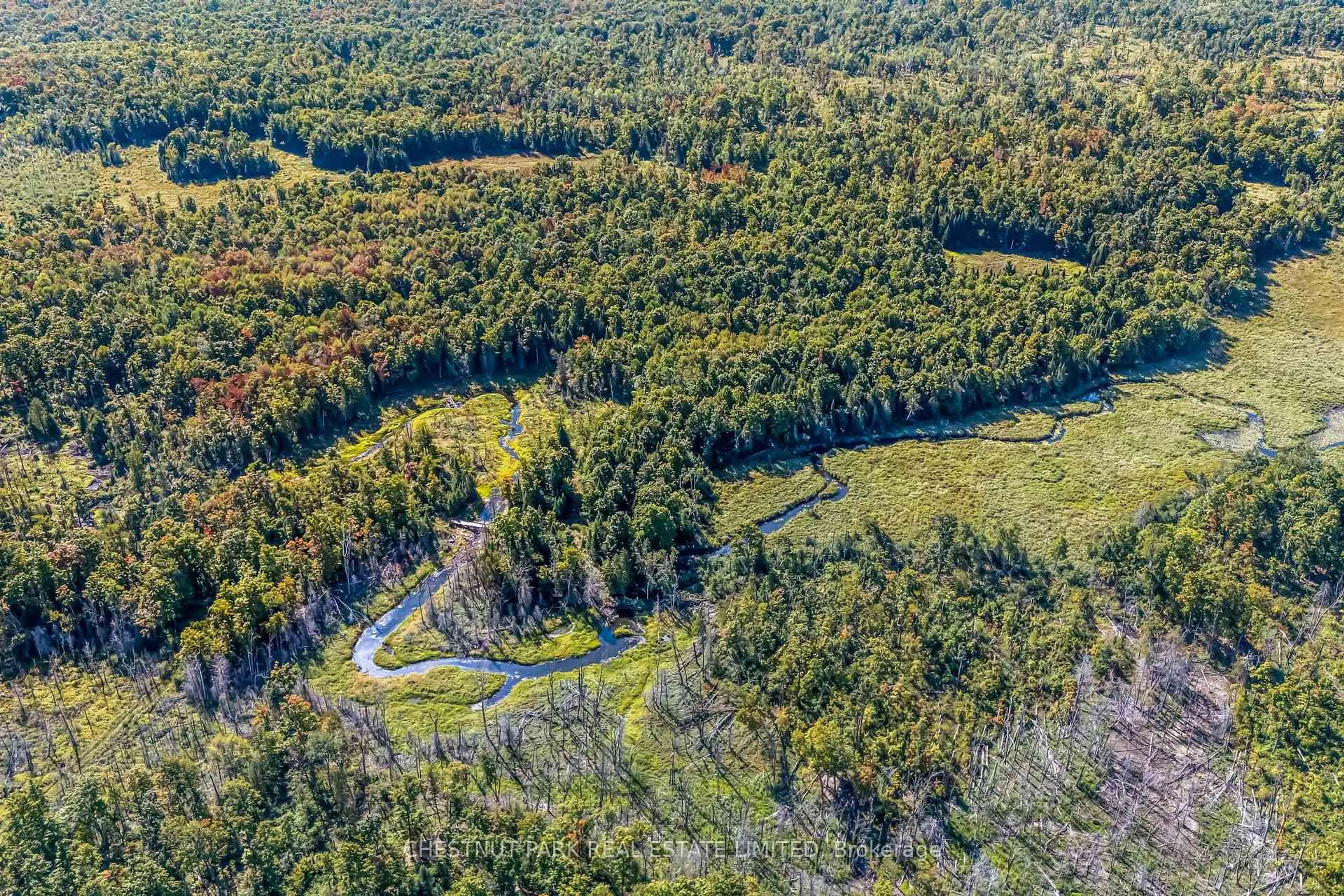 A pic from outside/outdoor area/front of a property/back of a property/a pic from drone, forest/trees view for 682 Felbers Rd, Madoc Ontario K0K 1Y0