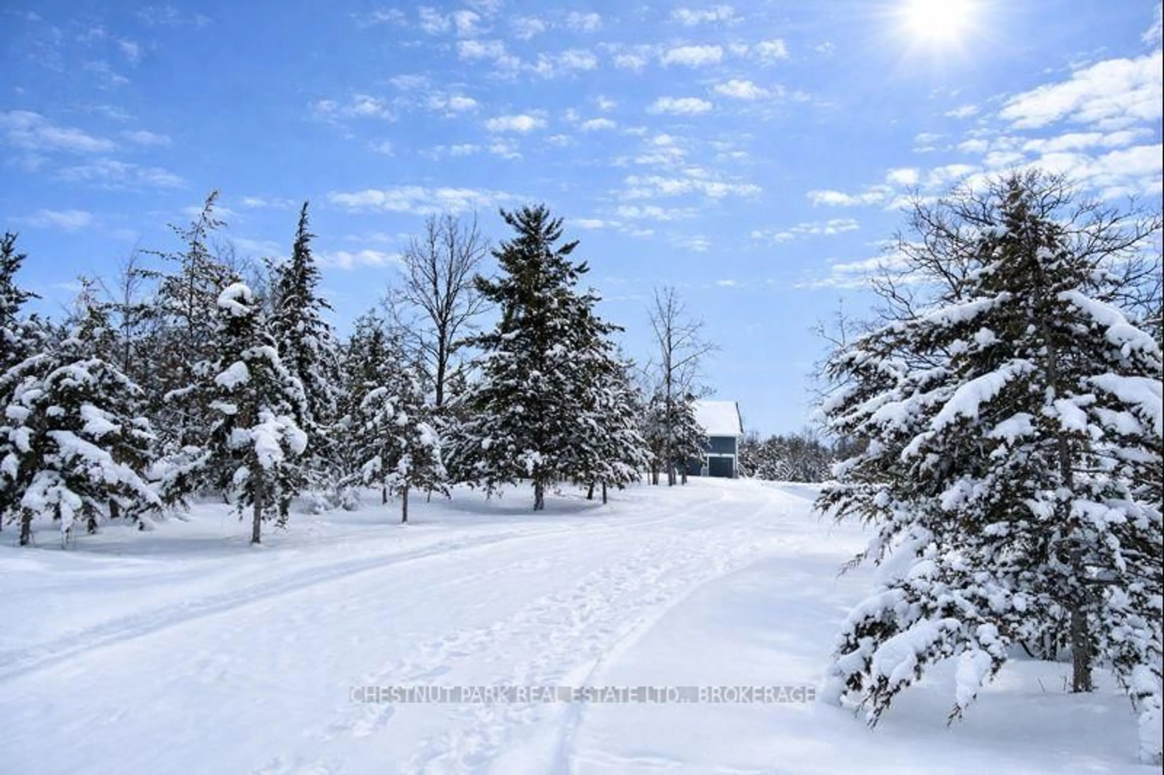 Patio, street for 531 Bethel Rd, Yarker Ontario K0K 3N0