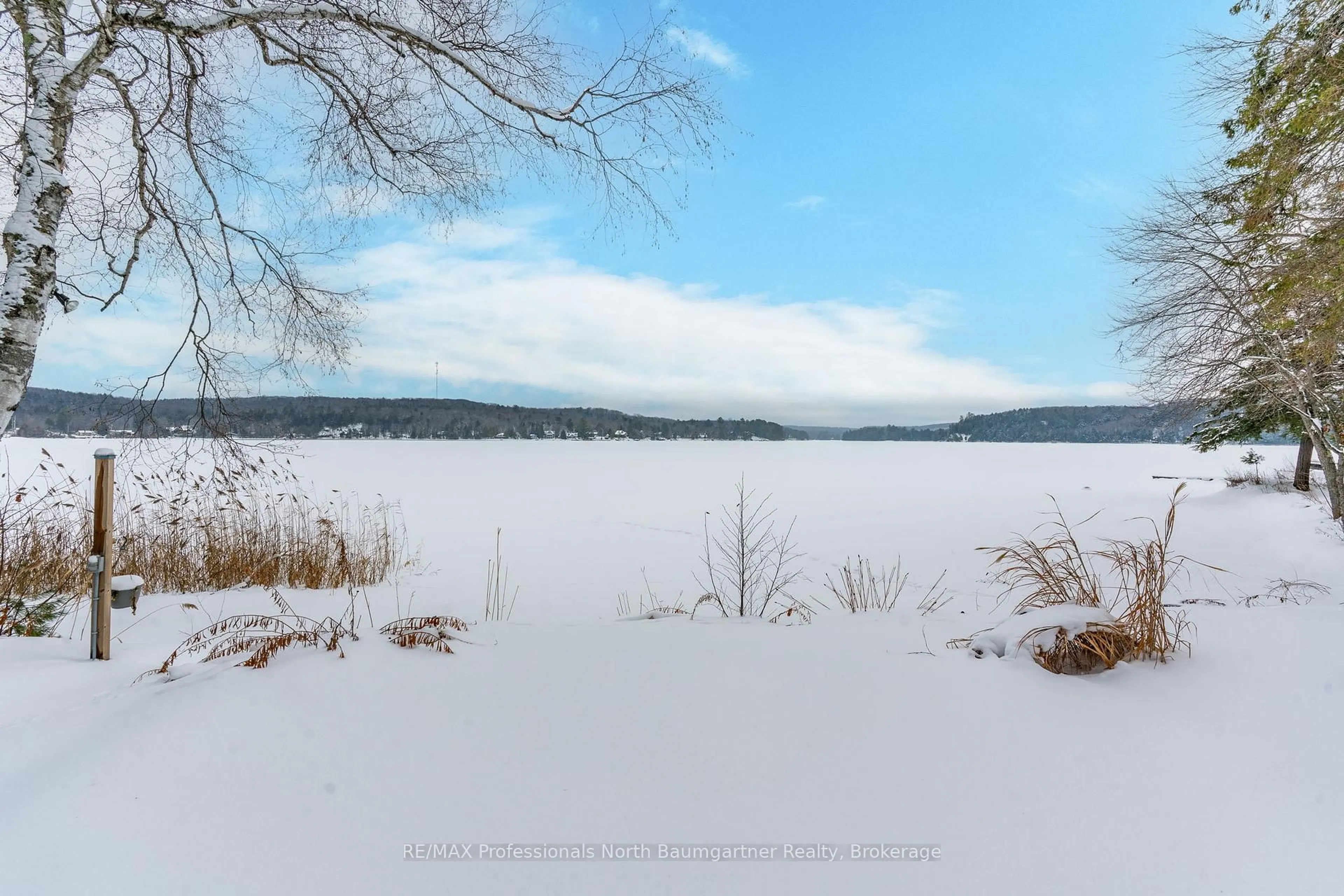 Blurry image for 1015 Blackberry Lane, Minden Hills Ontario K0M 2K0