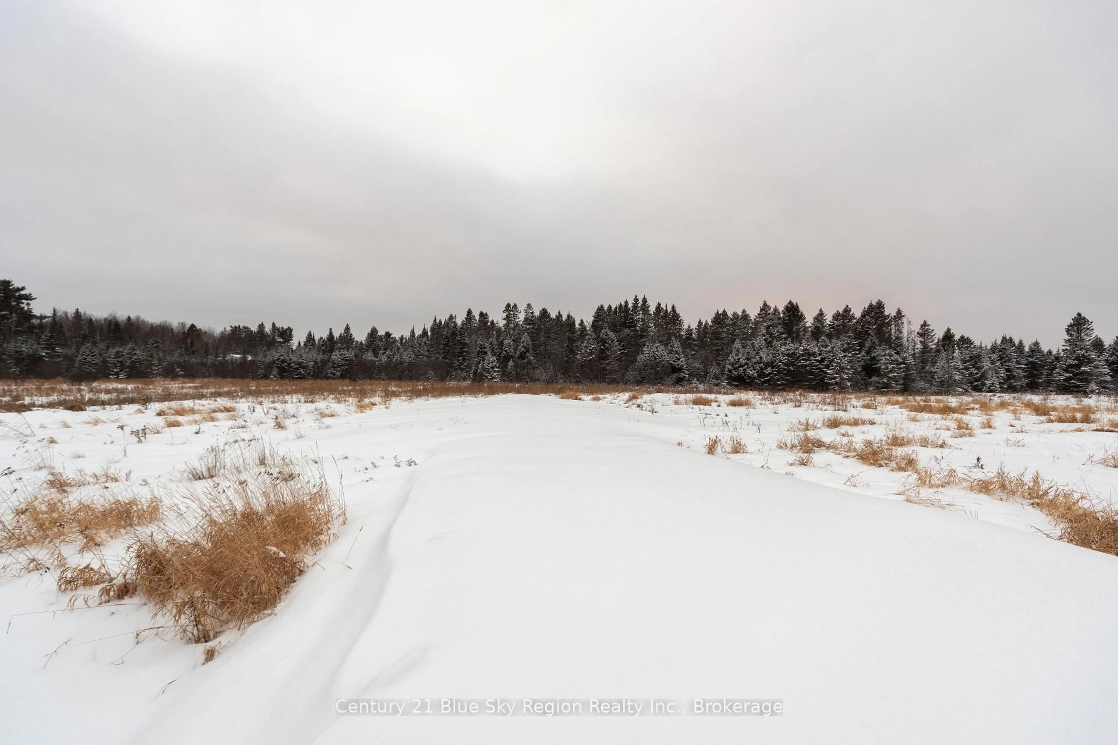 Blurry image for 1185 CORBEIL Rd, East Ferris Ontario P0H 1K0