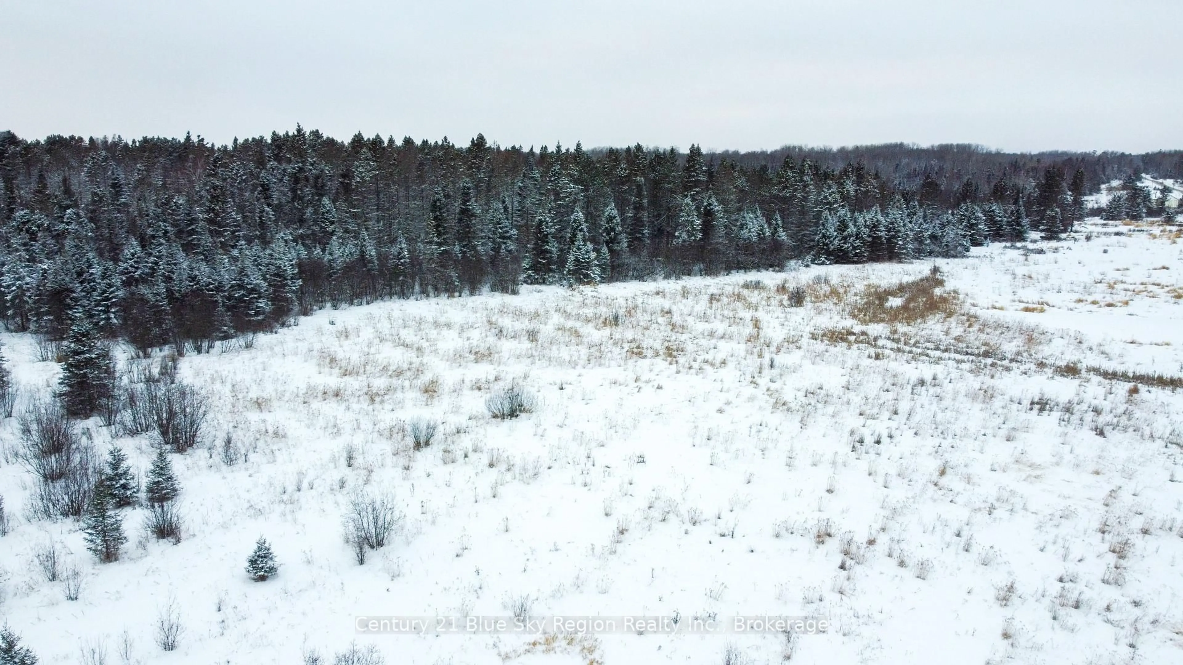 A pic from outside/outdoor area/front of a property/back of a property/a pic from drone, forest/trees view for 1185 CORBEIL Rd, East Ferris Ontario P0H 1K0