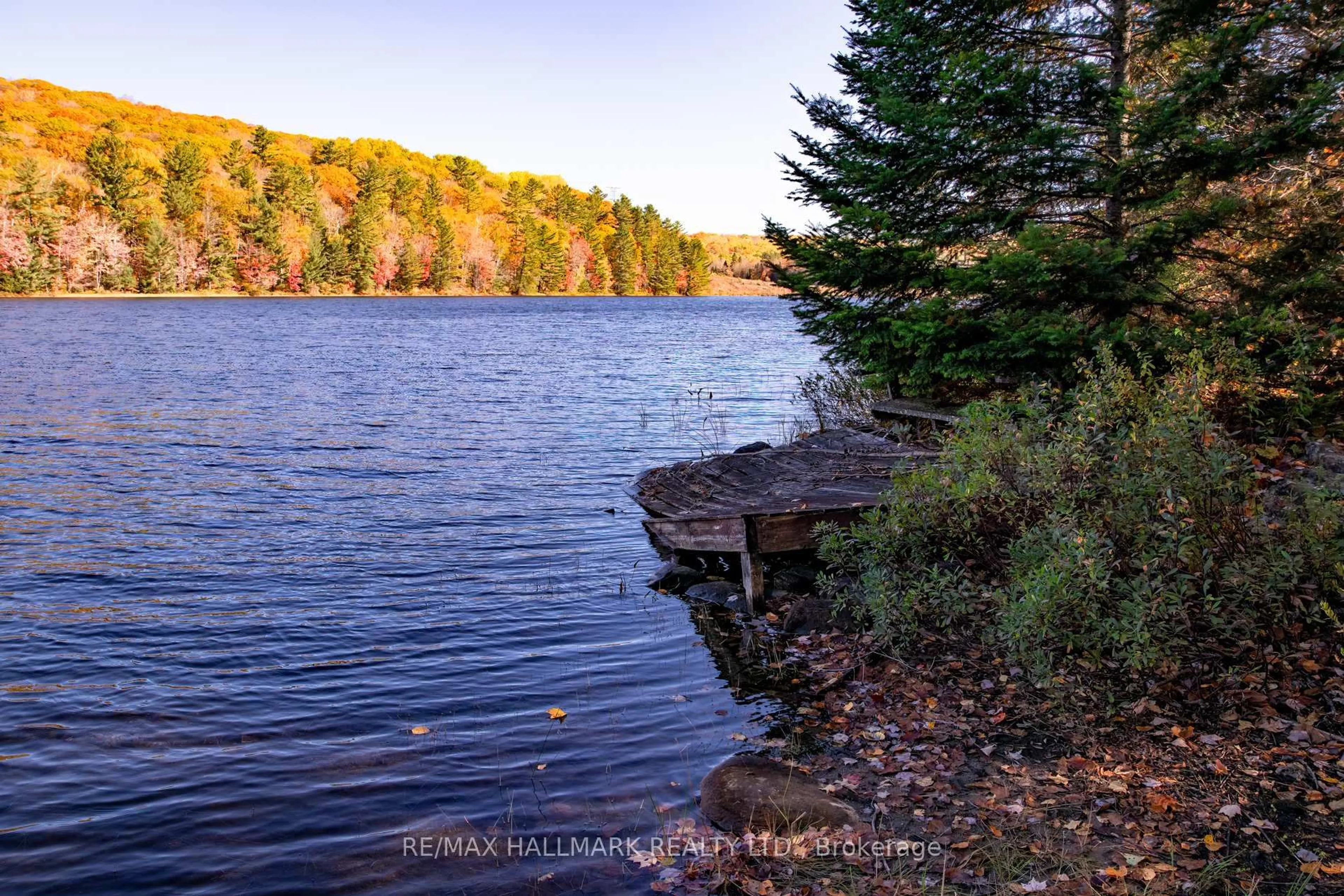 Blurry image for 3517 Haliburton Lake Rd, Dysart et al Ontario K0M 1S0