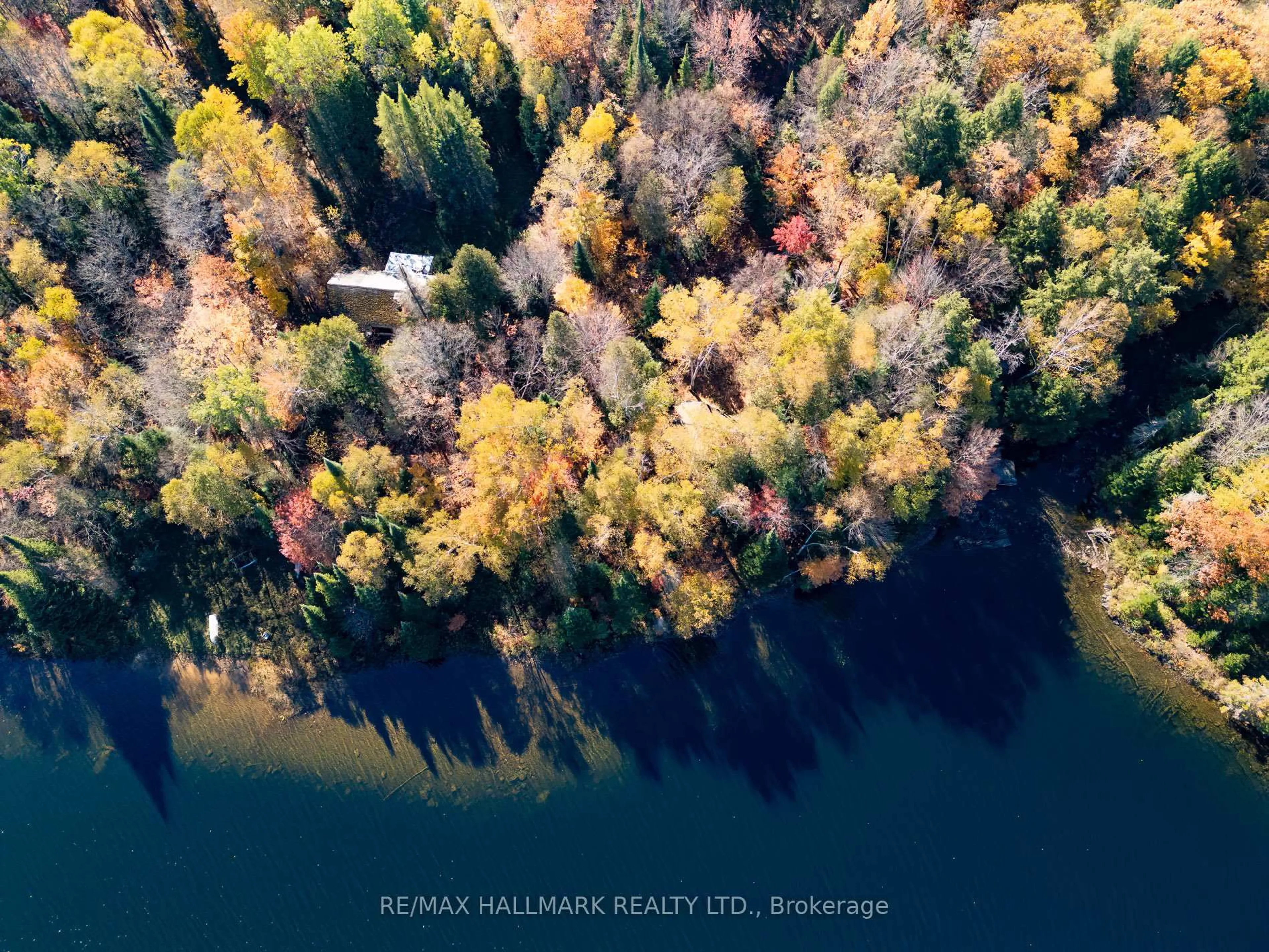 A pic from outside/outdoor area/front of a property/back of a property/a pic from drone, water/lake/river/ocean view for 3517 Haliburton Lake Rd, Dysart et al Ontario K0M 1S0