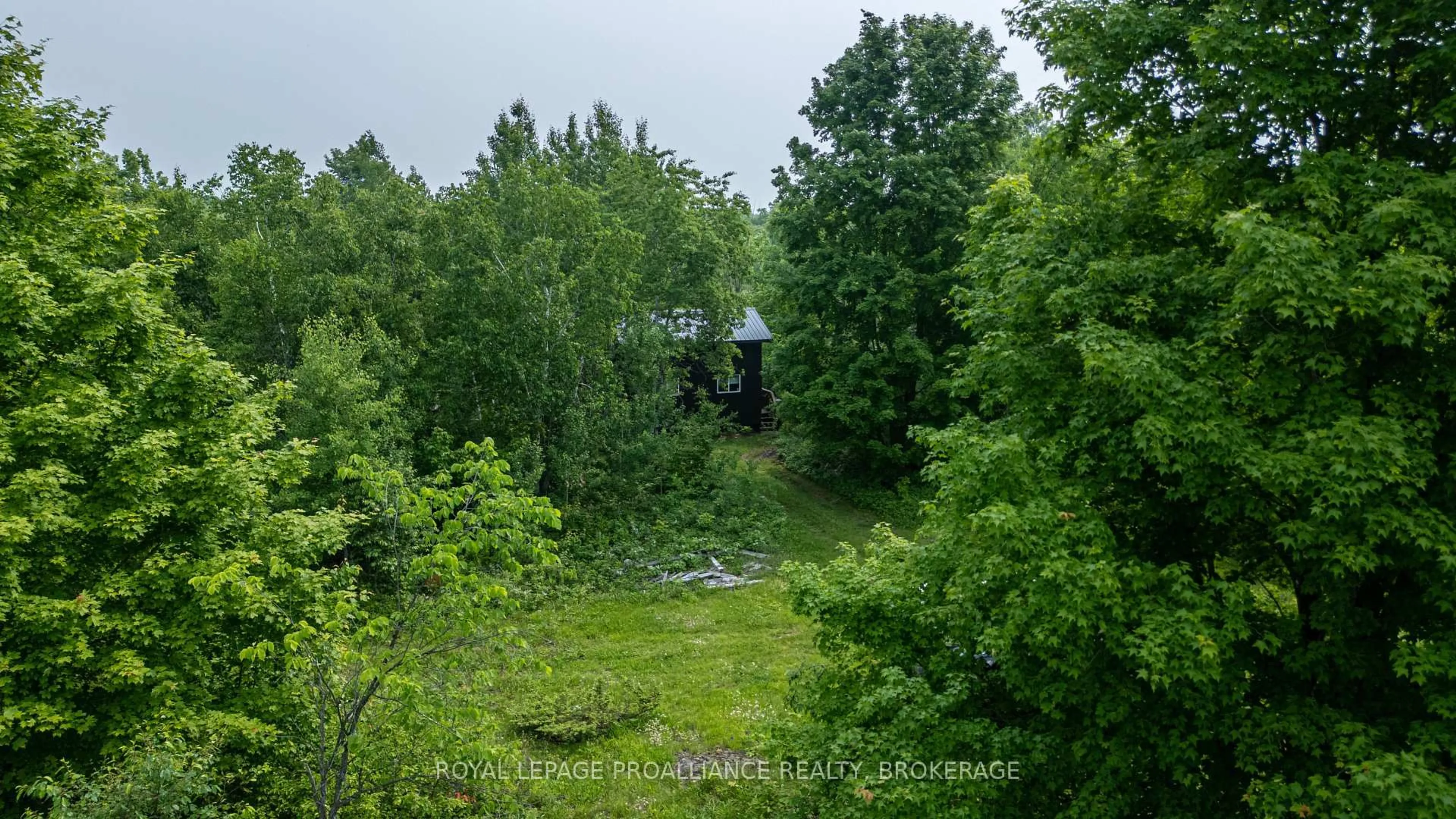 A pic from outside/outdoor area/front of a property/back of a property/a pic from drone, forest/trees view for 384 Big Crosby Lake Rd, Rideau Lakes Ontario K0G 1X0