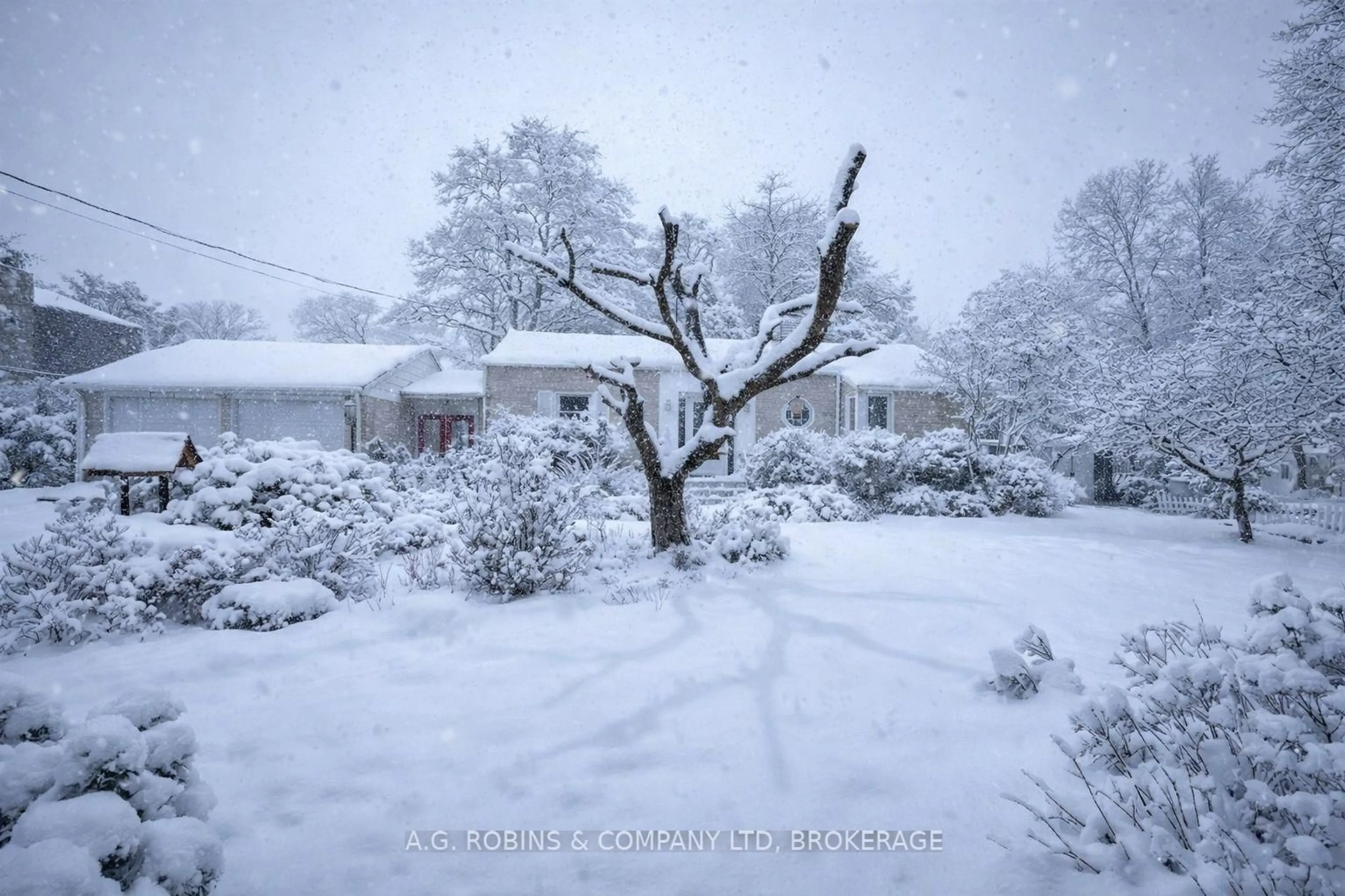 Blurry image for 10773 Lakeshore Rd, Wainfleet Ontario L0S 1V0