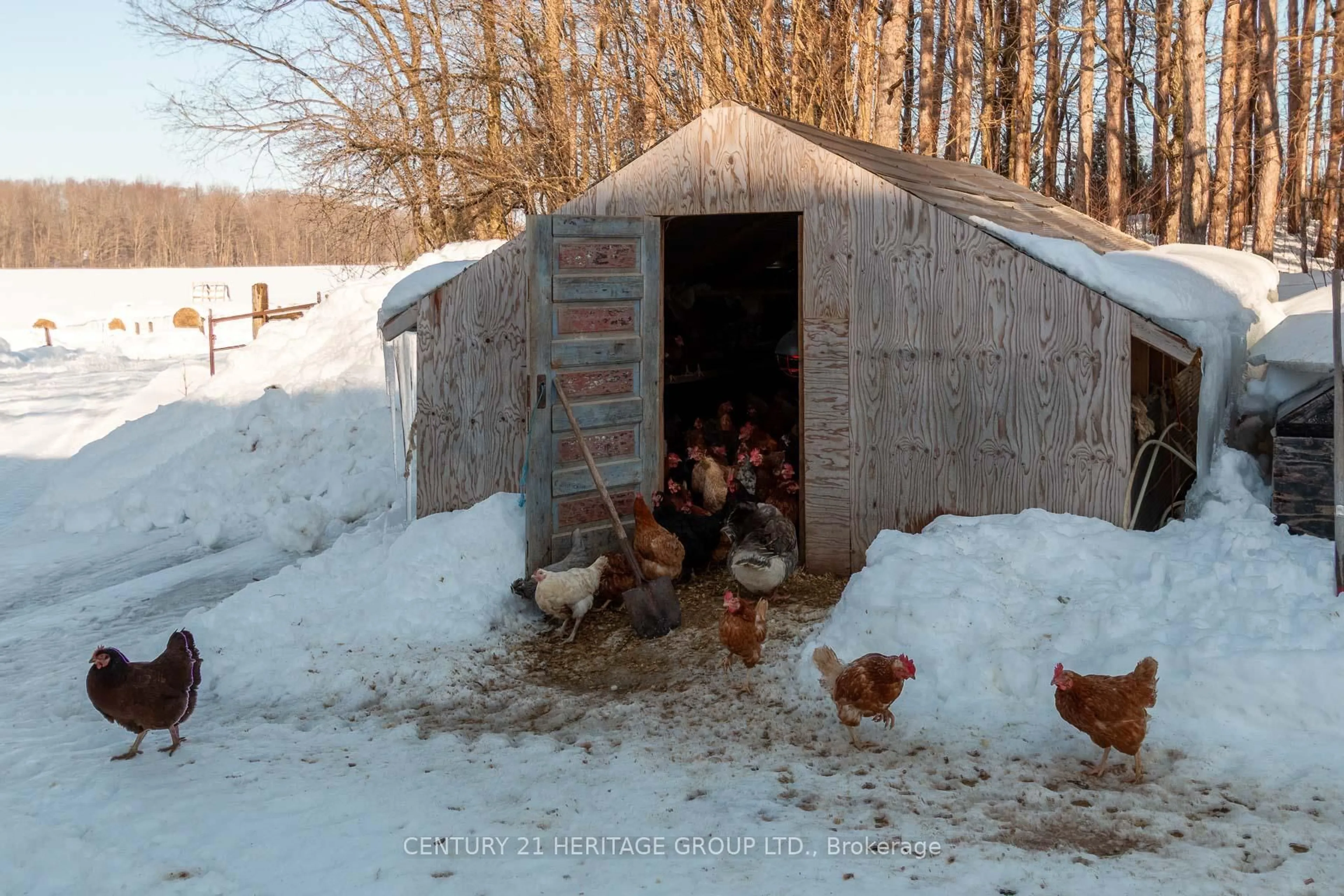 Shed for 797177 East Back Line, Chatsworth Ontario N0H 1R0