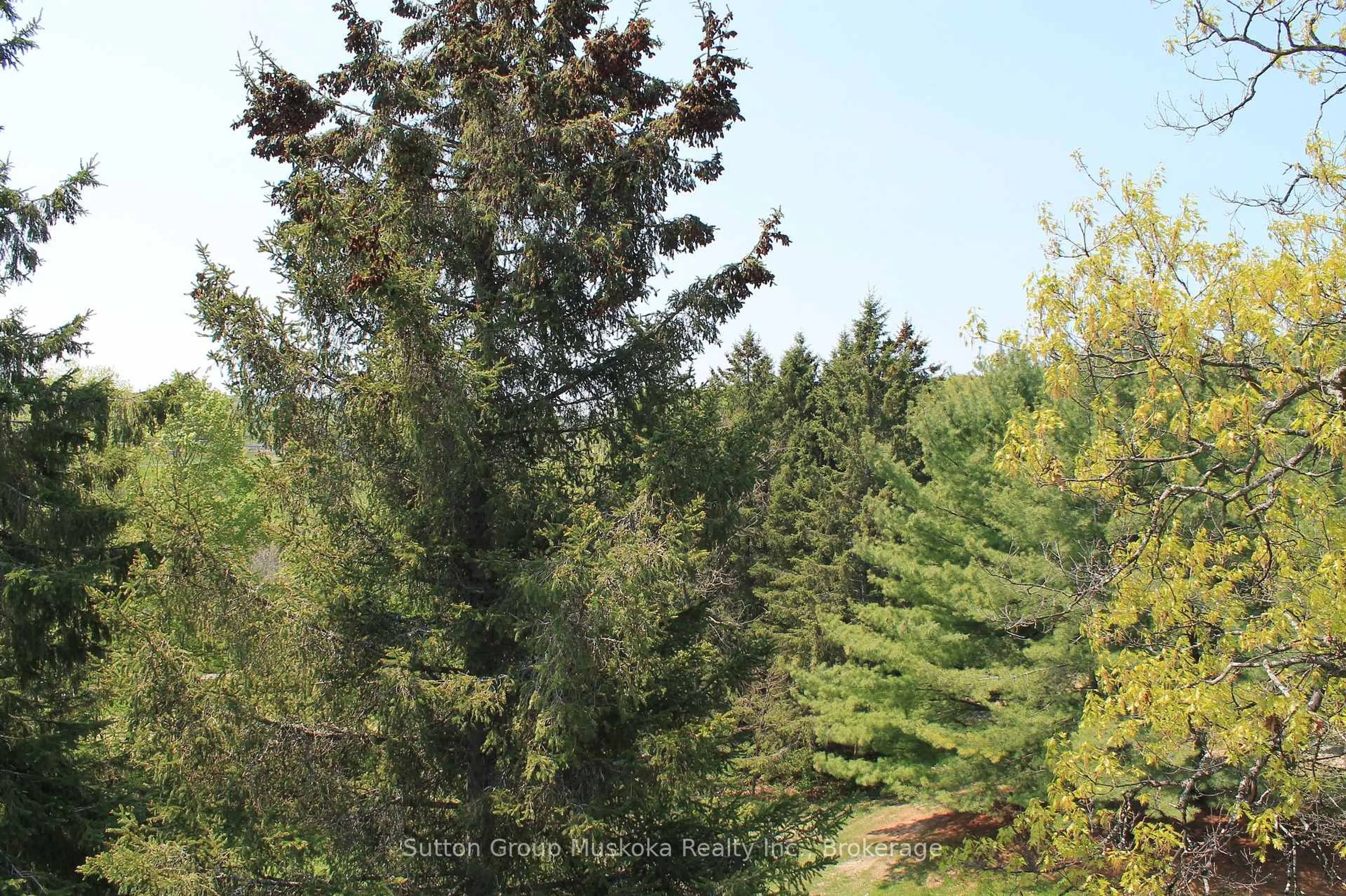 A pic from outside/outdoor area/front of a property/back of a property/a pic from drone, forest/trees view for 1235 Deerhurst Dr #52-305, Huntsville Ontario P1H 2E8